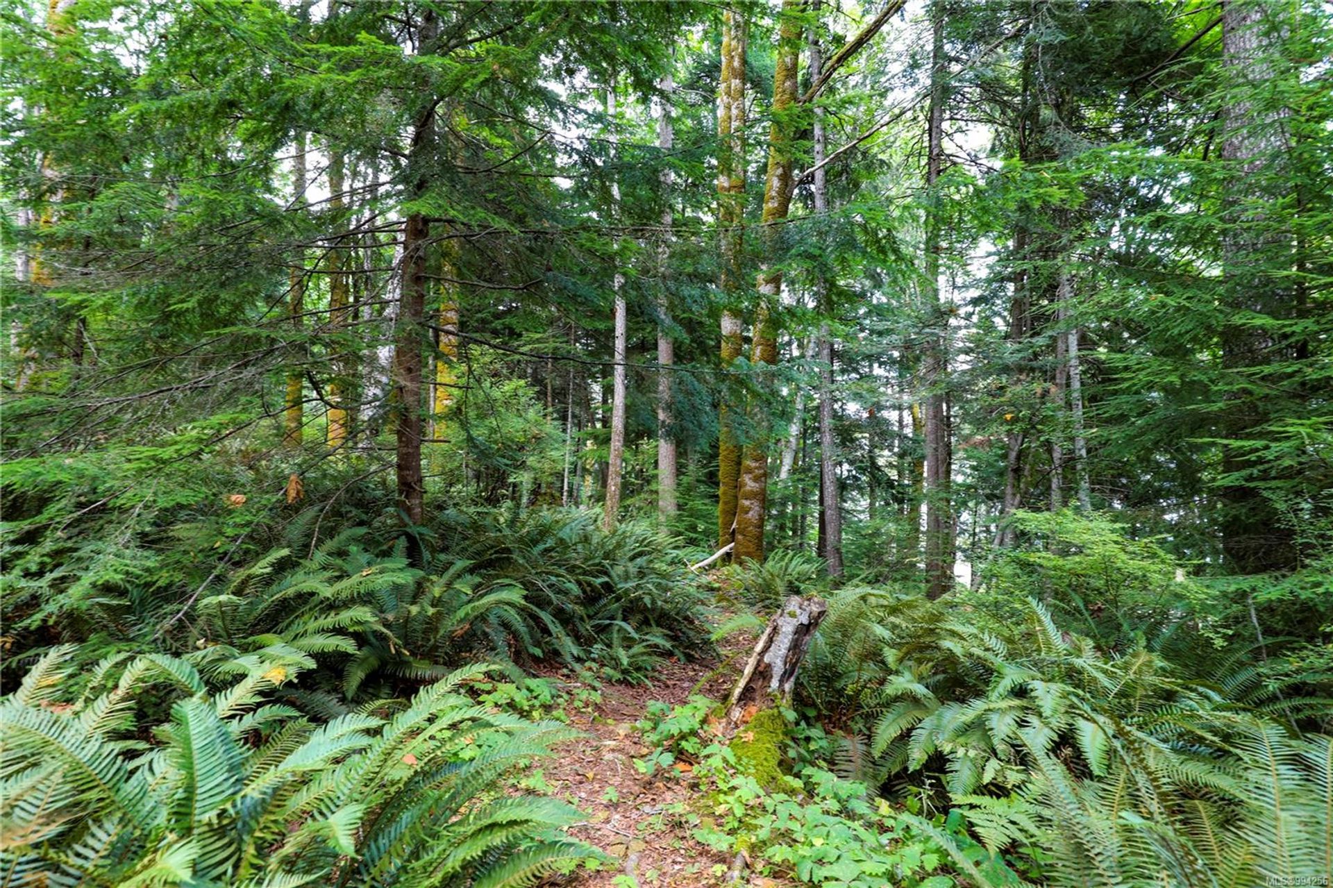 lot-2-eagles-courtenay-north-comox-valley-17 at Lot 2 Eagles Drive, Courtenay North, Comox Valley