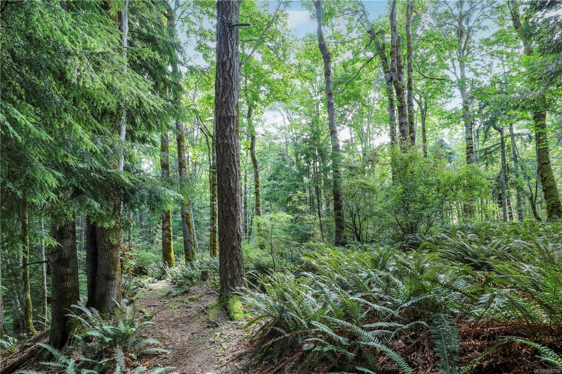 lot-2-eagles-courtenay-north-comox-valley-18 at Lot 2 Eagles Drive, Courtenay North, Comox Valley