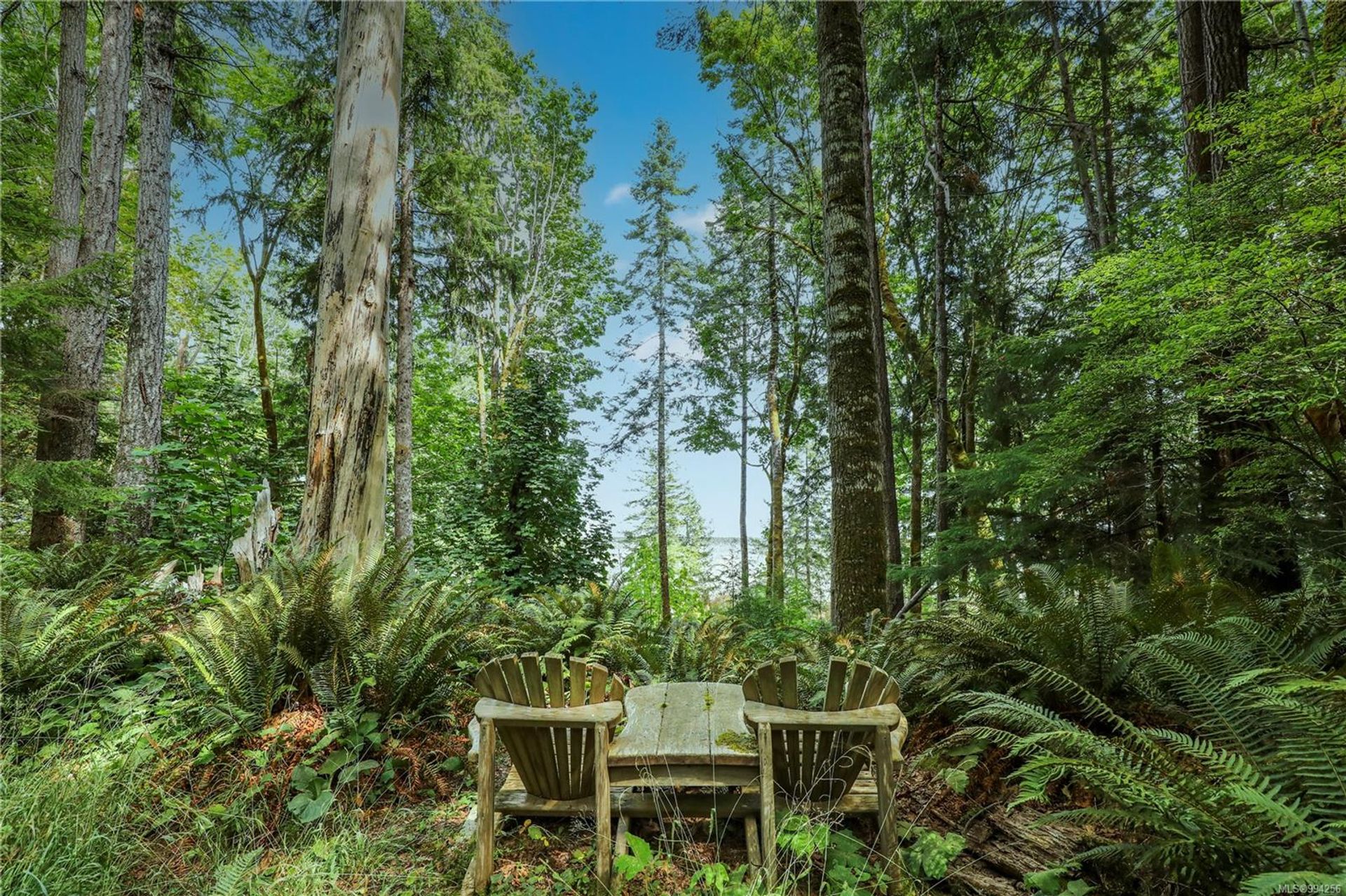 lot-2-eagles-courtenay-north-comox-valley-19 at Lot 2 Eagles Drive, Courtenay North, Comox Valley