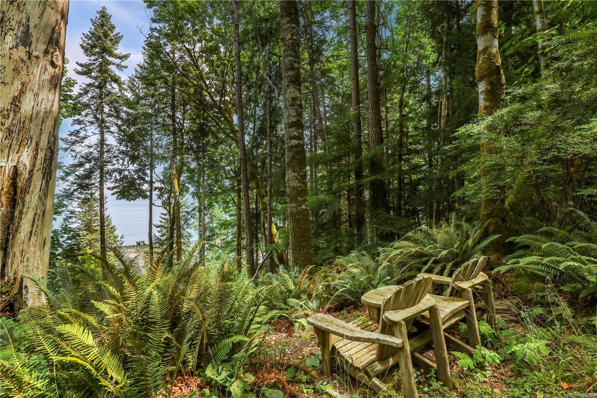 lot-2-eagles-courtenay-north-comox-valley-20 at Lot 2 Eagles Drive, Courtenay North, Comox Valley