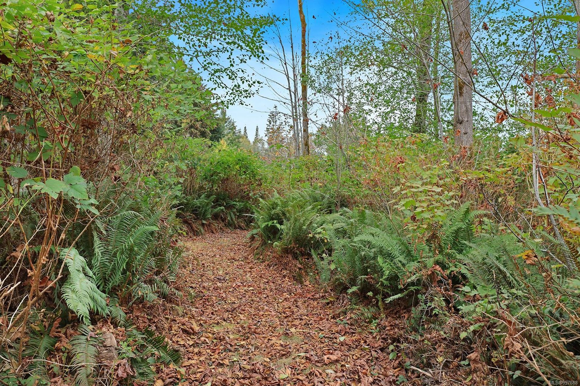  at 6510 Eagles Drive, Courtenay North, Comox Valley