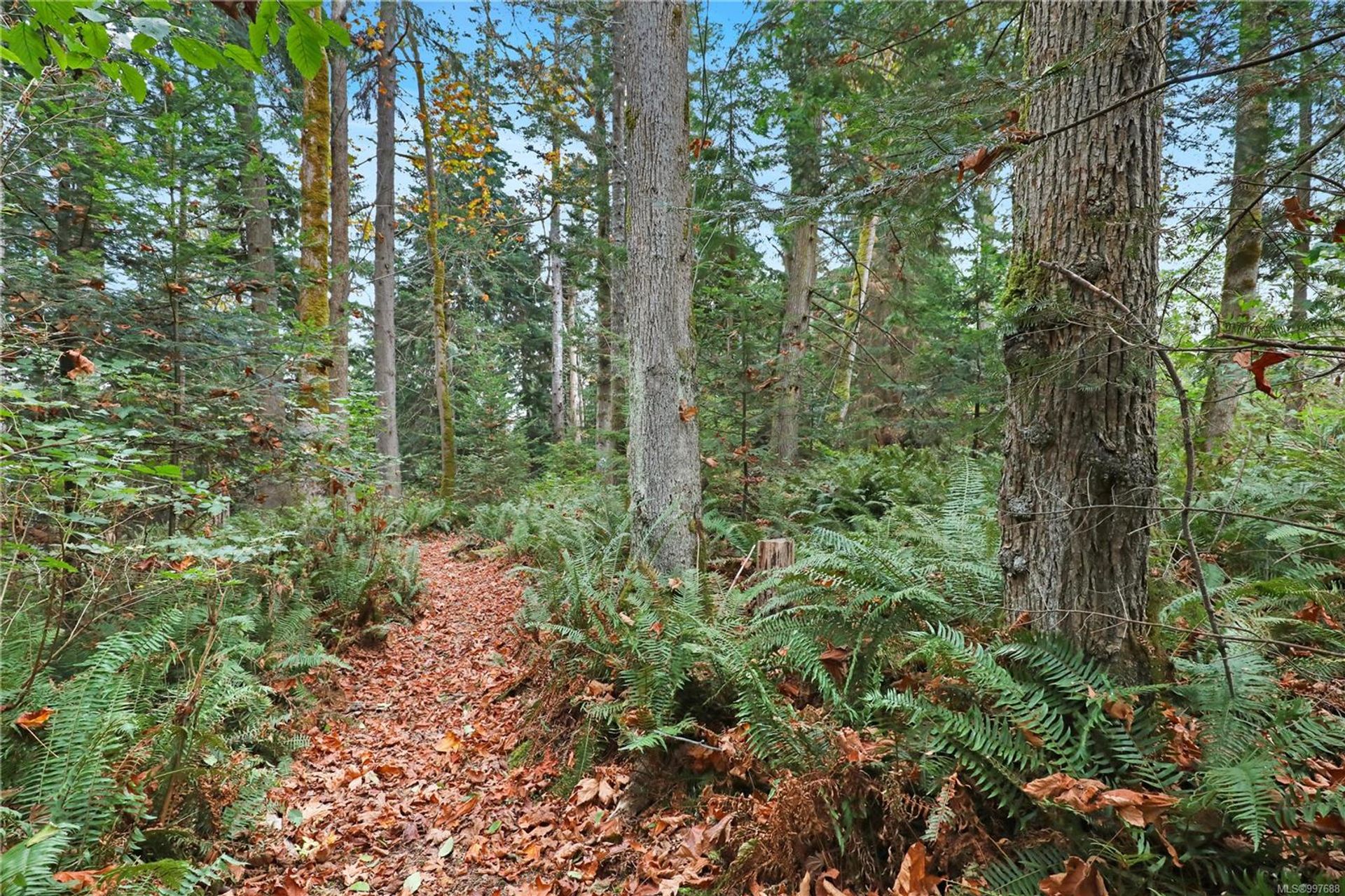  at 6510 Eagles Drive, Courtenay North, Comox Valley