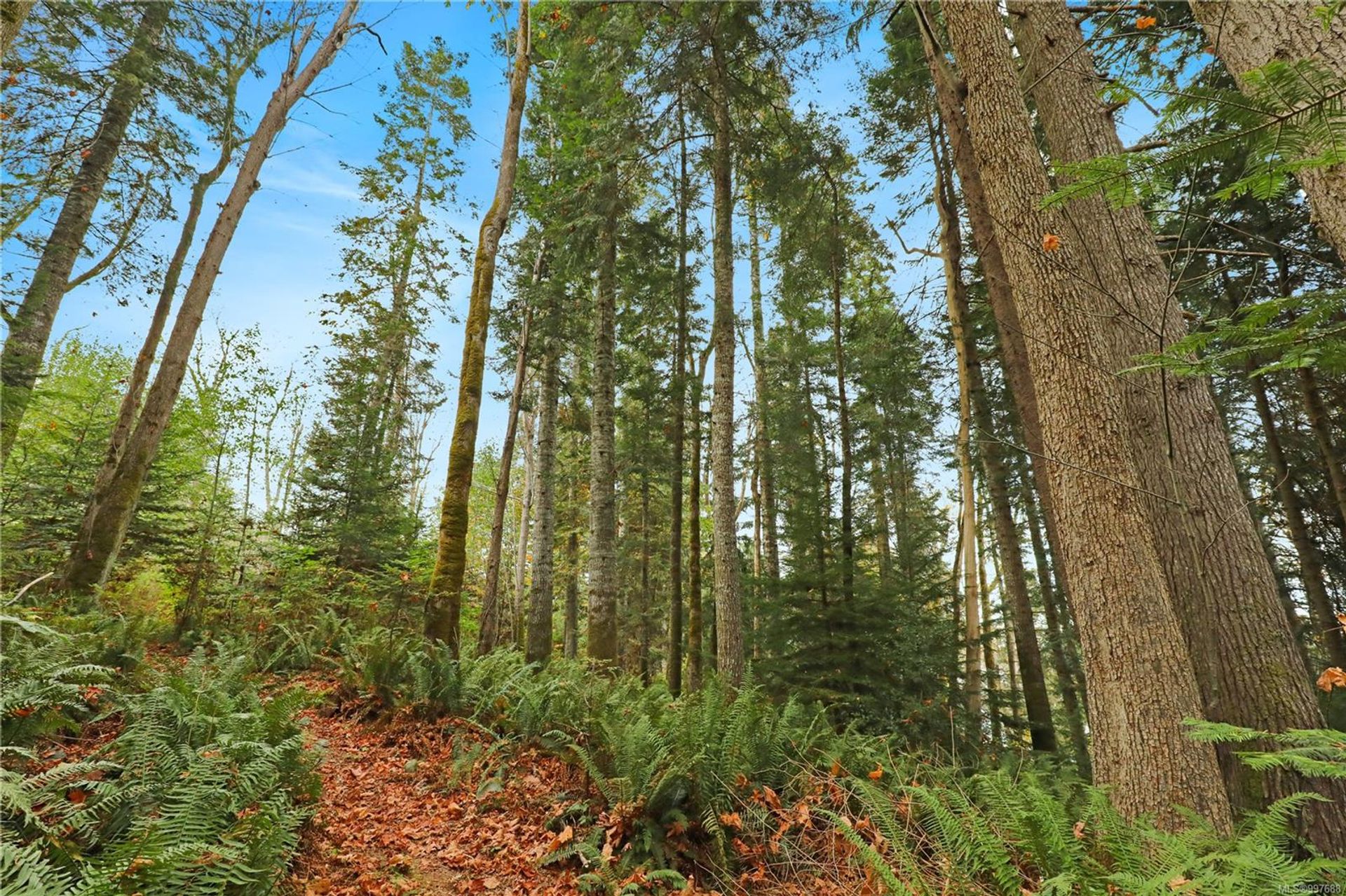  at 6510 Eagles Drive, Courtenay North, Comox Valley