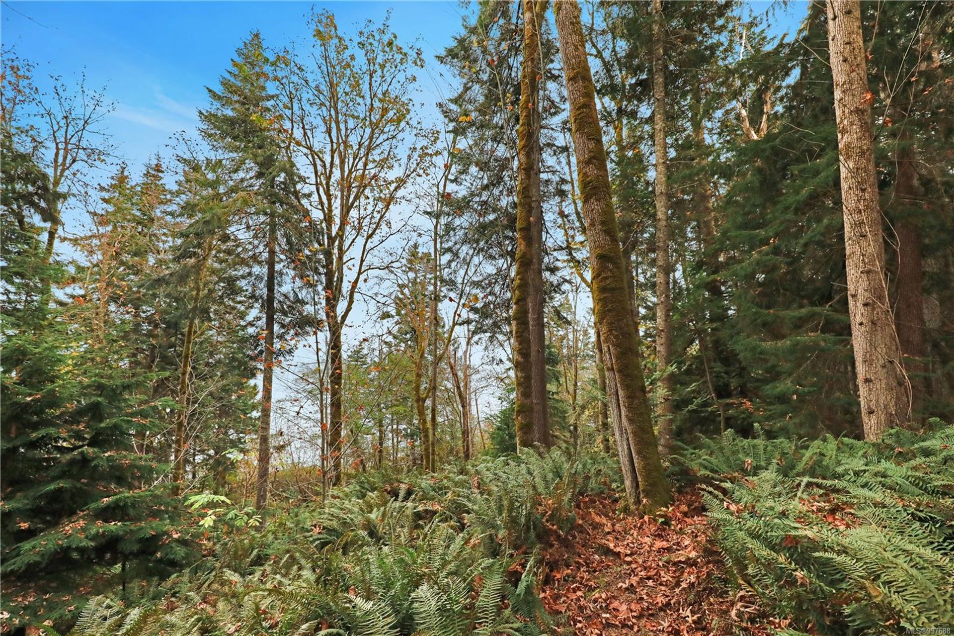 at 6510 Eagles Drive, Courtenay North, Comox Valley  at 6510 Eagles Drive, Courtenay North, Comox Valley