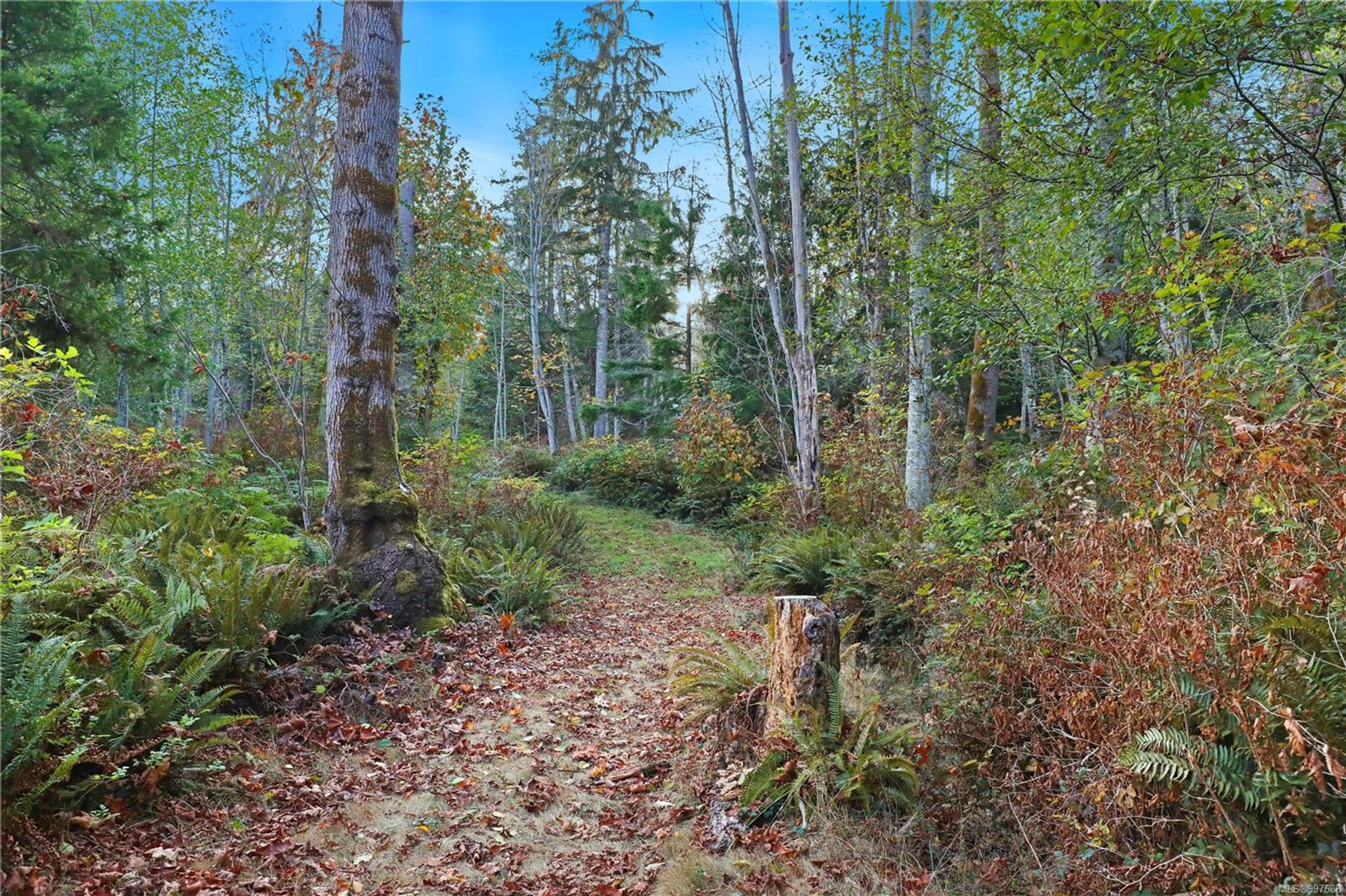  at 6510 Eagles Drive, Courtenay North, Comox Valley