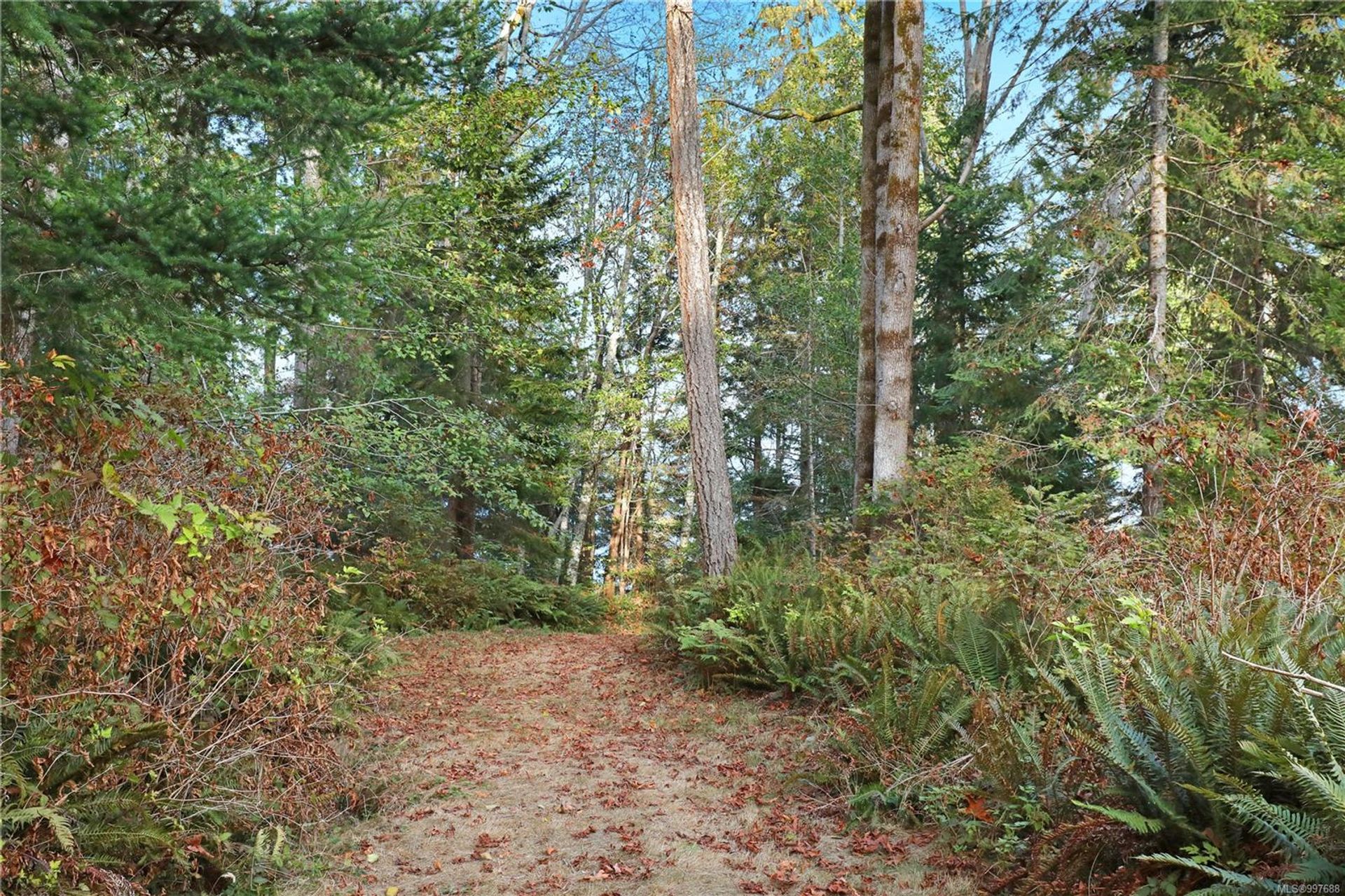 at 6510 Eagles Drive, Courtenay North, Comox Valley  at 6510 Eagles Drive, Courtenay North, Comox Valley