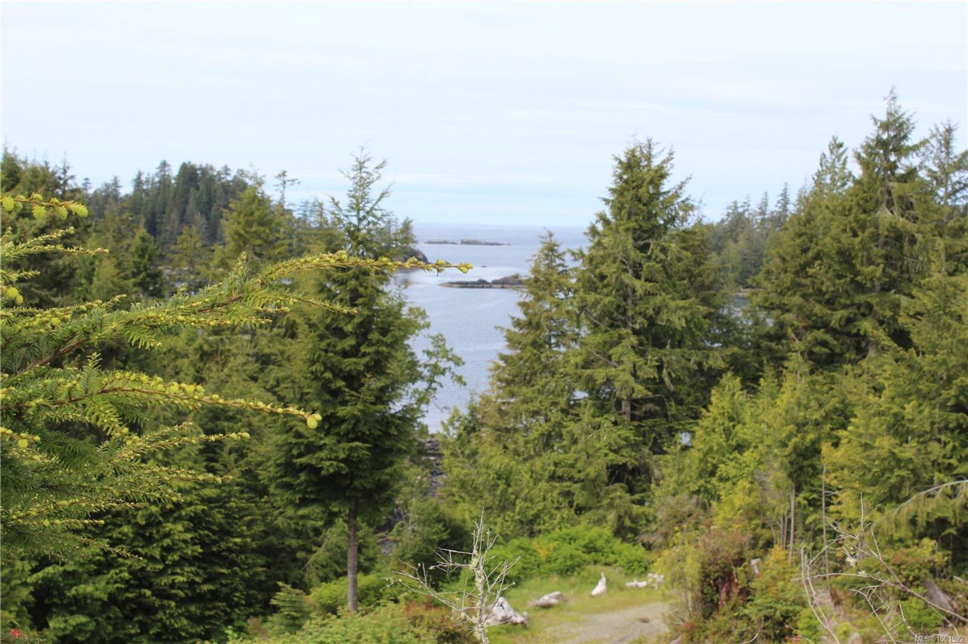lot-11-hawkes-ucluelet-port-alberni-25 at LOT 11 Hawkes Road, Ucluelet, Port Alberni lot-11-hawkes-ucluelet-port-alberni-25 at LOT 11 Hawkes Road, Ucluelet, Port Alberni