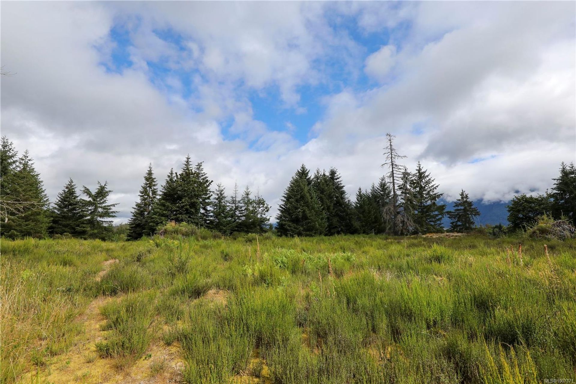 at 8855 Central Lake Road, Sproat Lake, Port Alberni  at 8855 Central Lake Road, Sproat Lake, Port Alberni