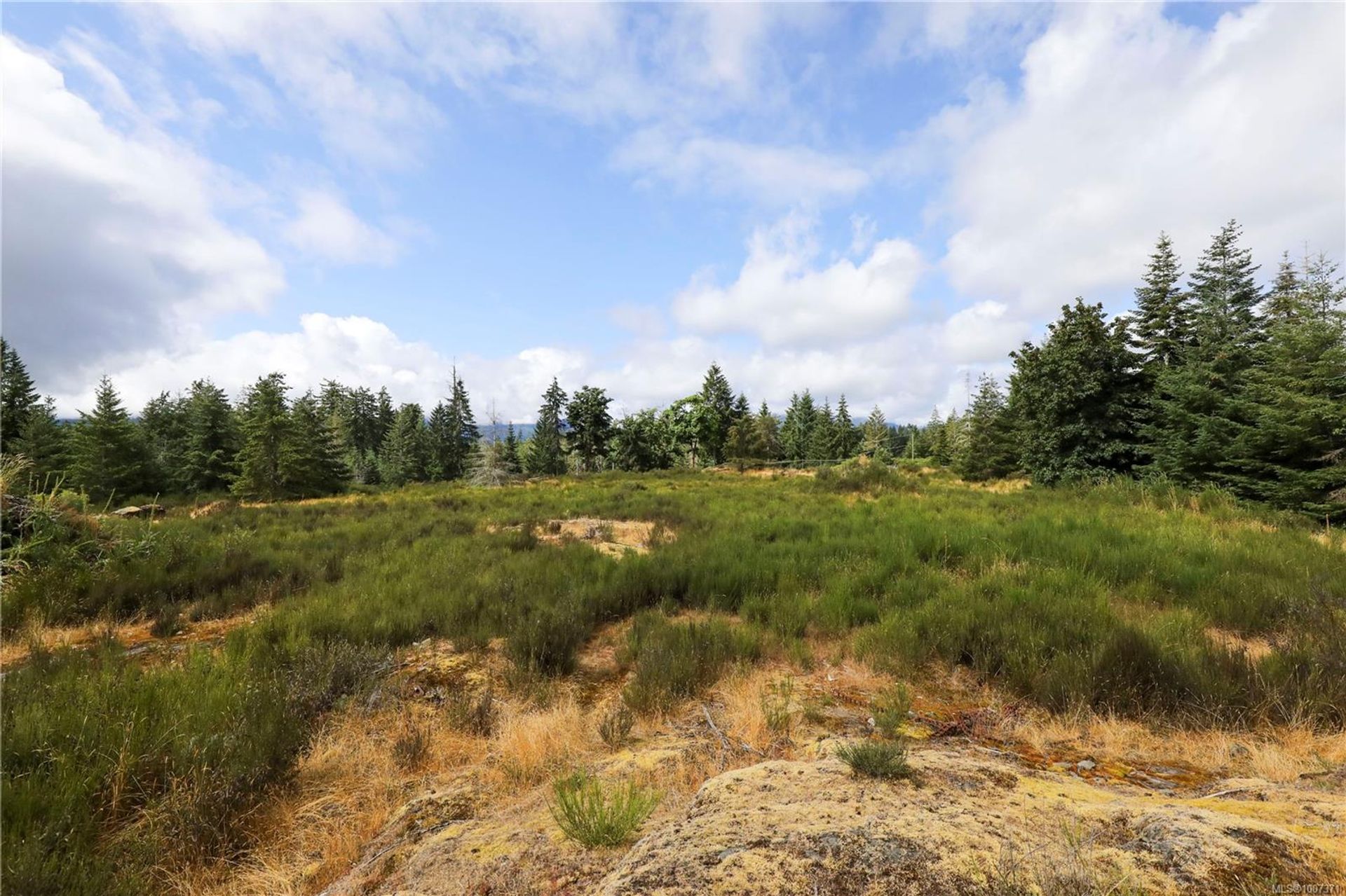 at 8855 Central Lake Road, Sproat Lake, Port Alberni  at 8855 Central Lake Road, Sproat Lake, Port Alberni