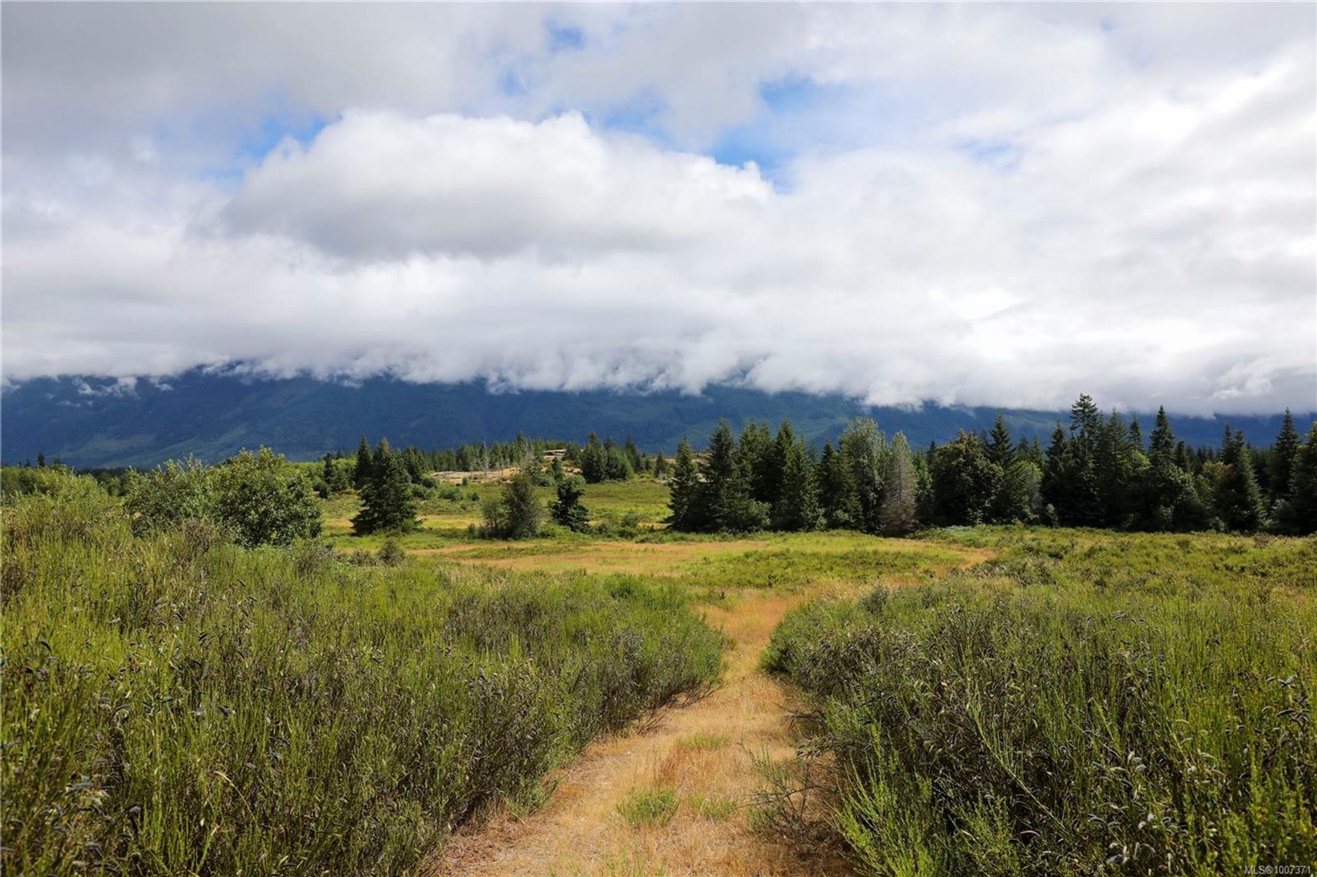 at 8855 Central Lake Road, Sproat Lake, Port Alberni  at 8855 Central Lake Road, Sproat Lake, Port Alberni