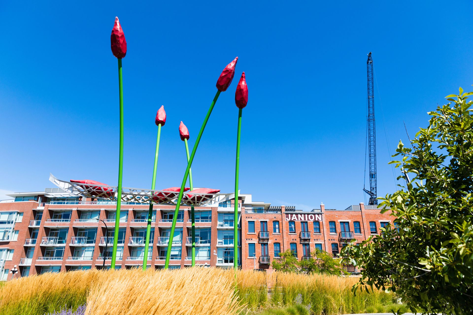  at M11 - 456 Pandora Avenue, Downtown, Victoria