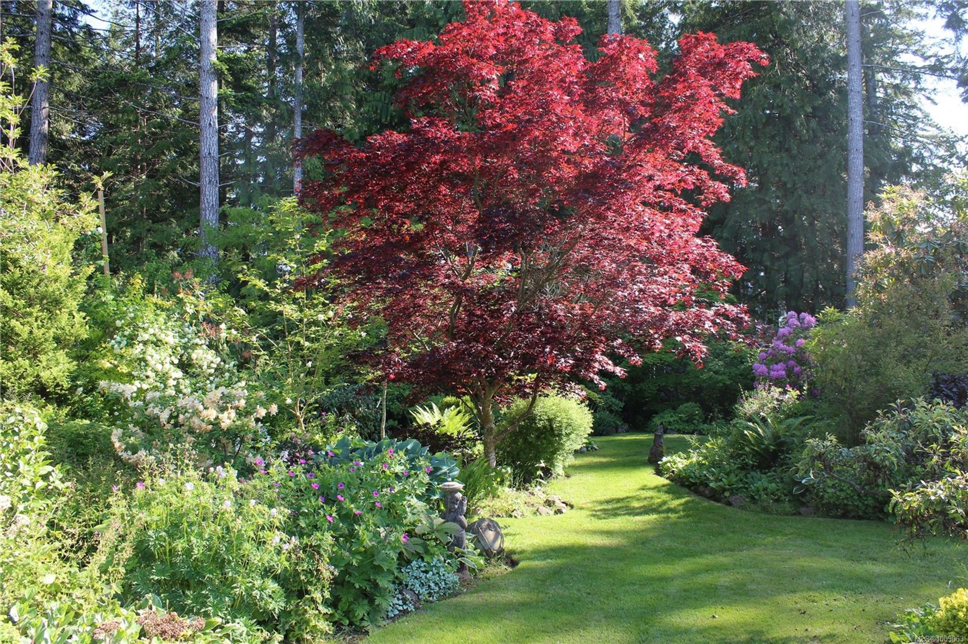  at 7679 Victor Lane, Union Bay/Fanny Bay, Comox Valley