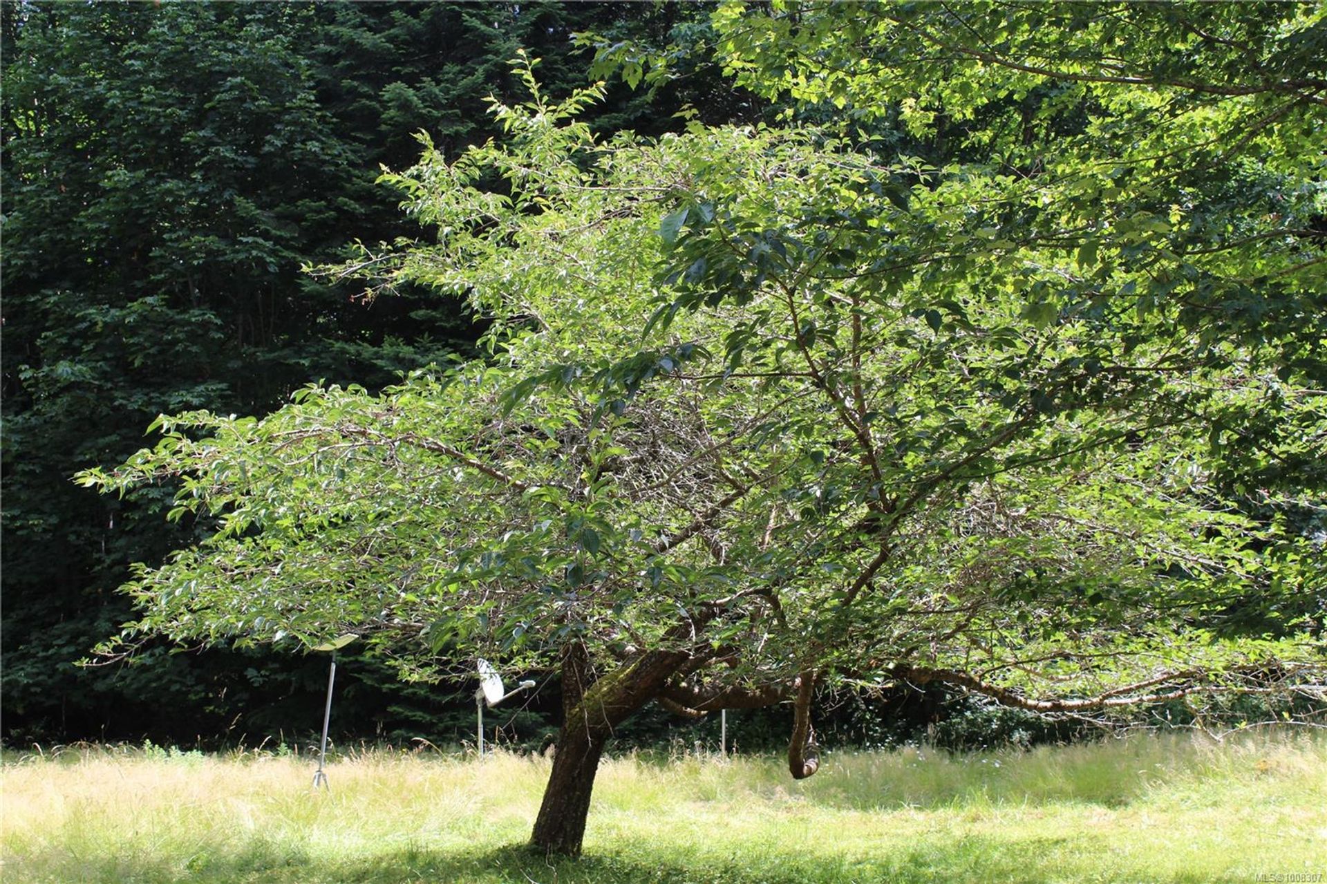 at 8450 Berray Road, Union Bay/Fanny Bay, Comox Valley  at 8450 Berray Road, Union Bay/Fanny Bay, Comox Valley