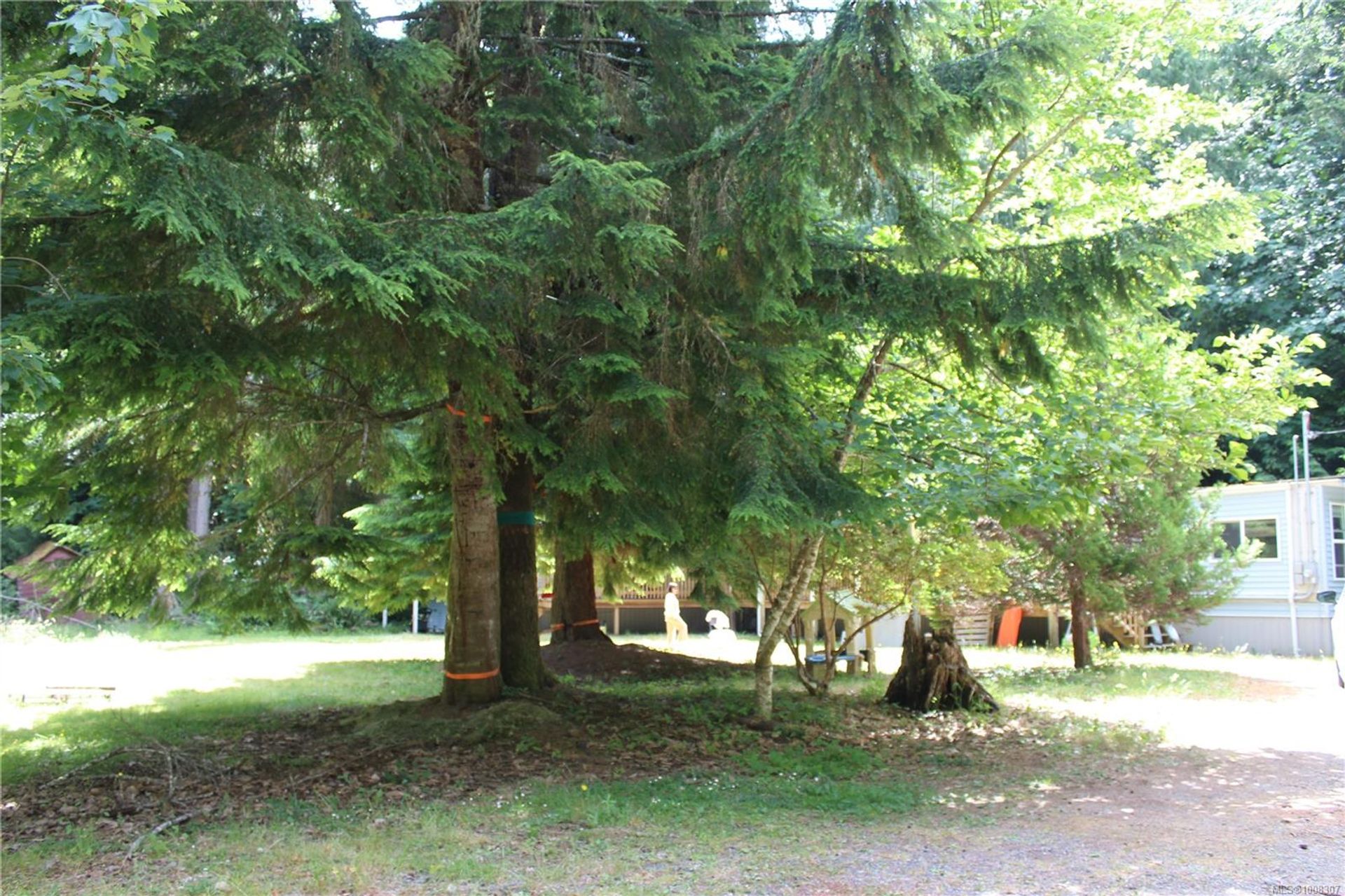  at 8450 Berray Road, Union Bay/Fanny Bay, Comox Valley