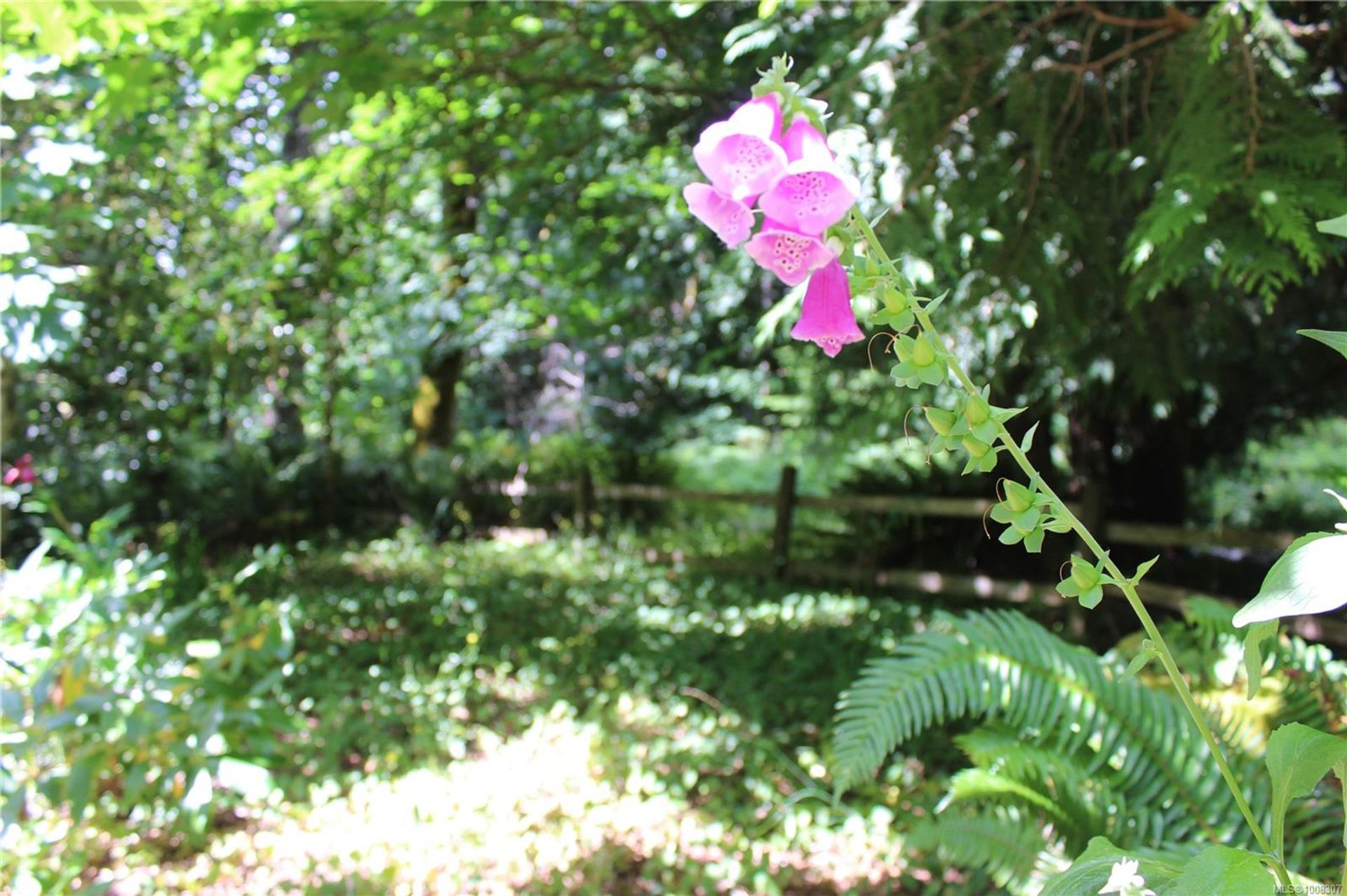  at 8450 Berray Road, Union Bay/Fanny Bay, Comox Valley