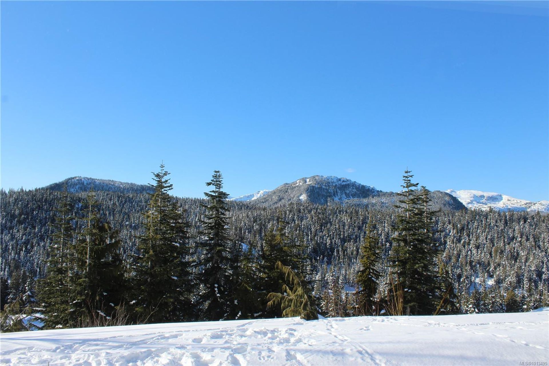 1105-henry-mt-washington-comox-valley-12 at 106 - 1105 Henry Road, Mt Washington, Comox Valley