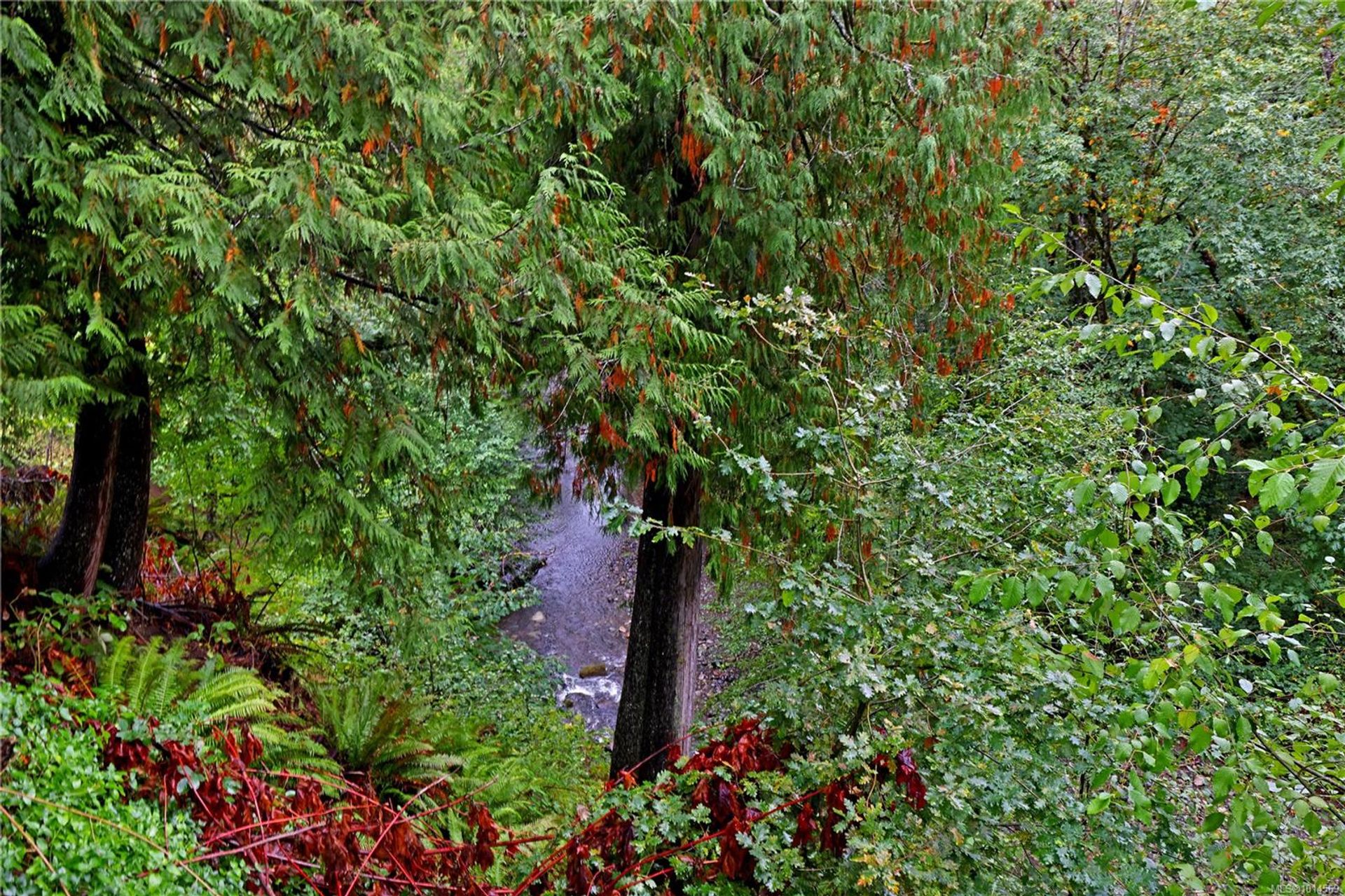 4513-glenside-port-alberni-port-alberni-38 at 4513 Glenside Crescent, Port Alberni, Port Alberni and West Coast