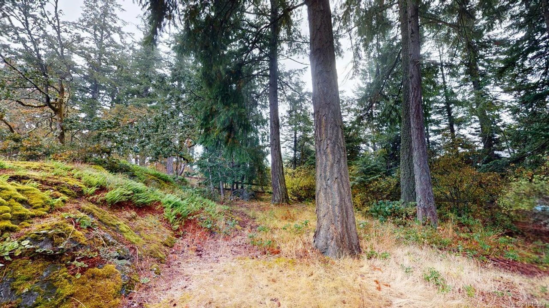 95-talcott-hospital-view-royal-19 at 10 - 95 Talcott Road, Hospital, View Royal