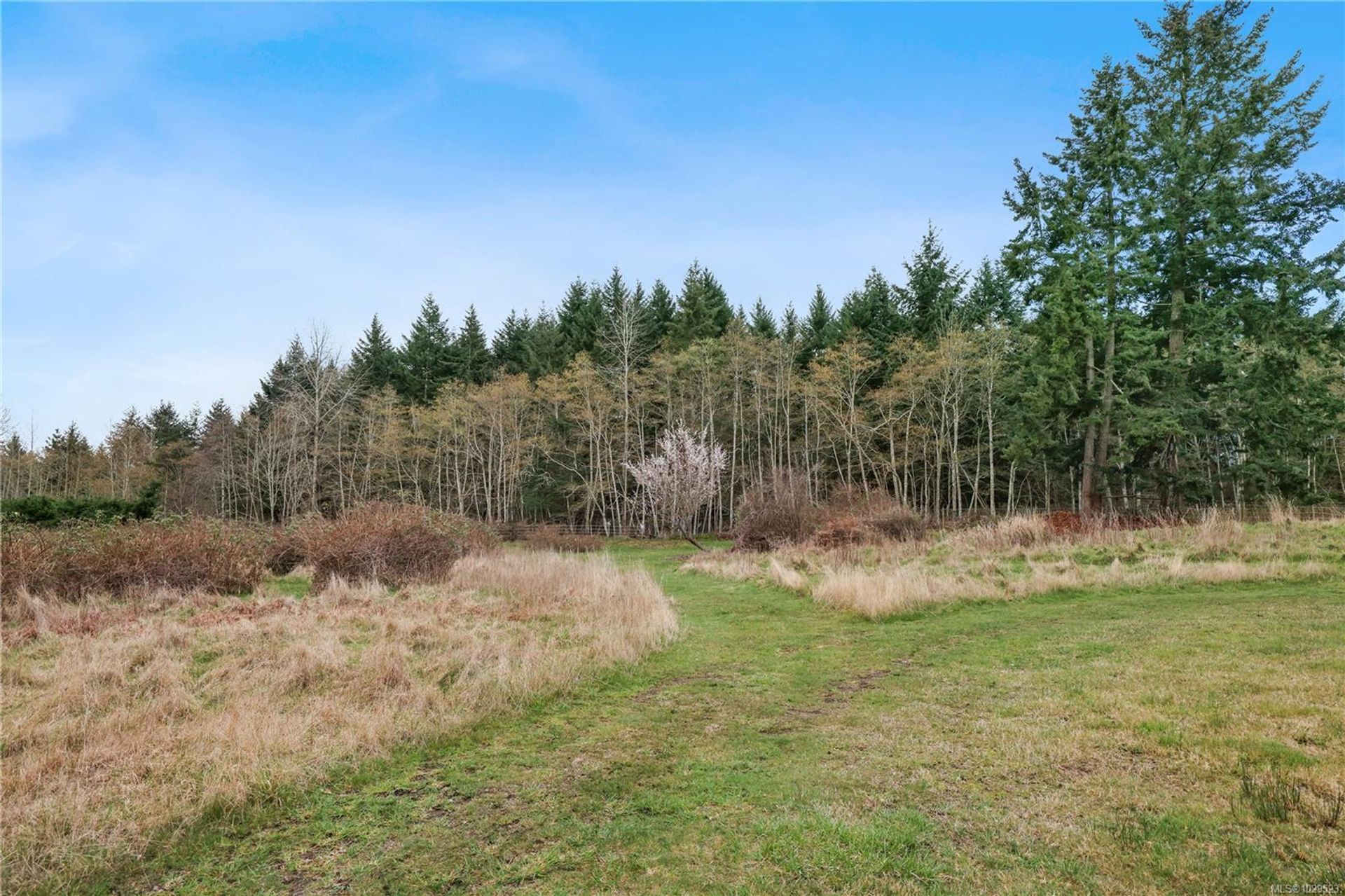 1705-tames-courtenay-north-comox-valley-31 at 1705 Tames Road, Courtenay North, Comox Valley