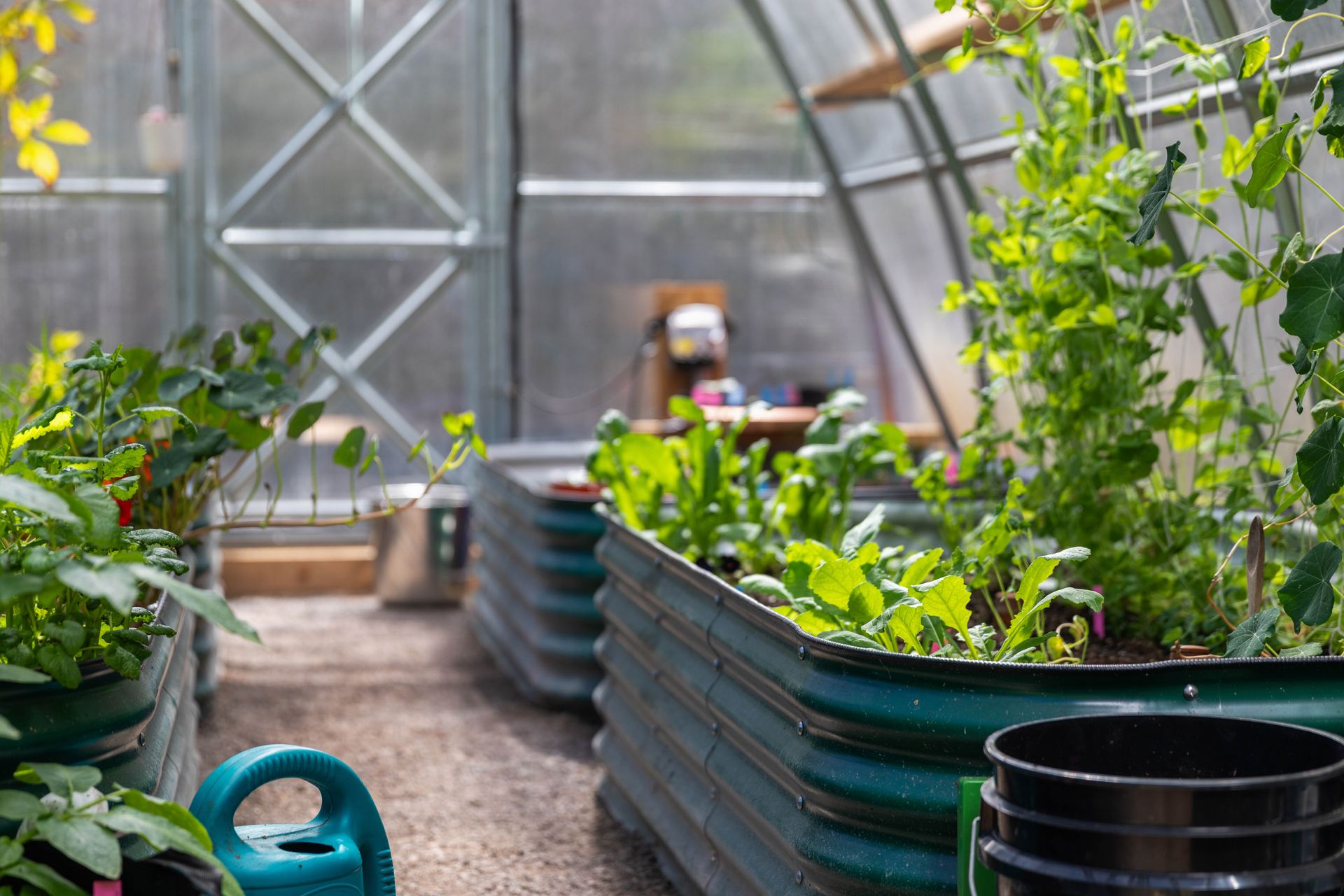  at 907A Parkheights Drive, East Sooke, Sooke