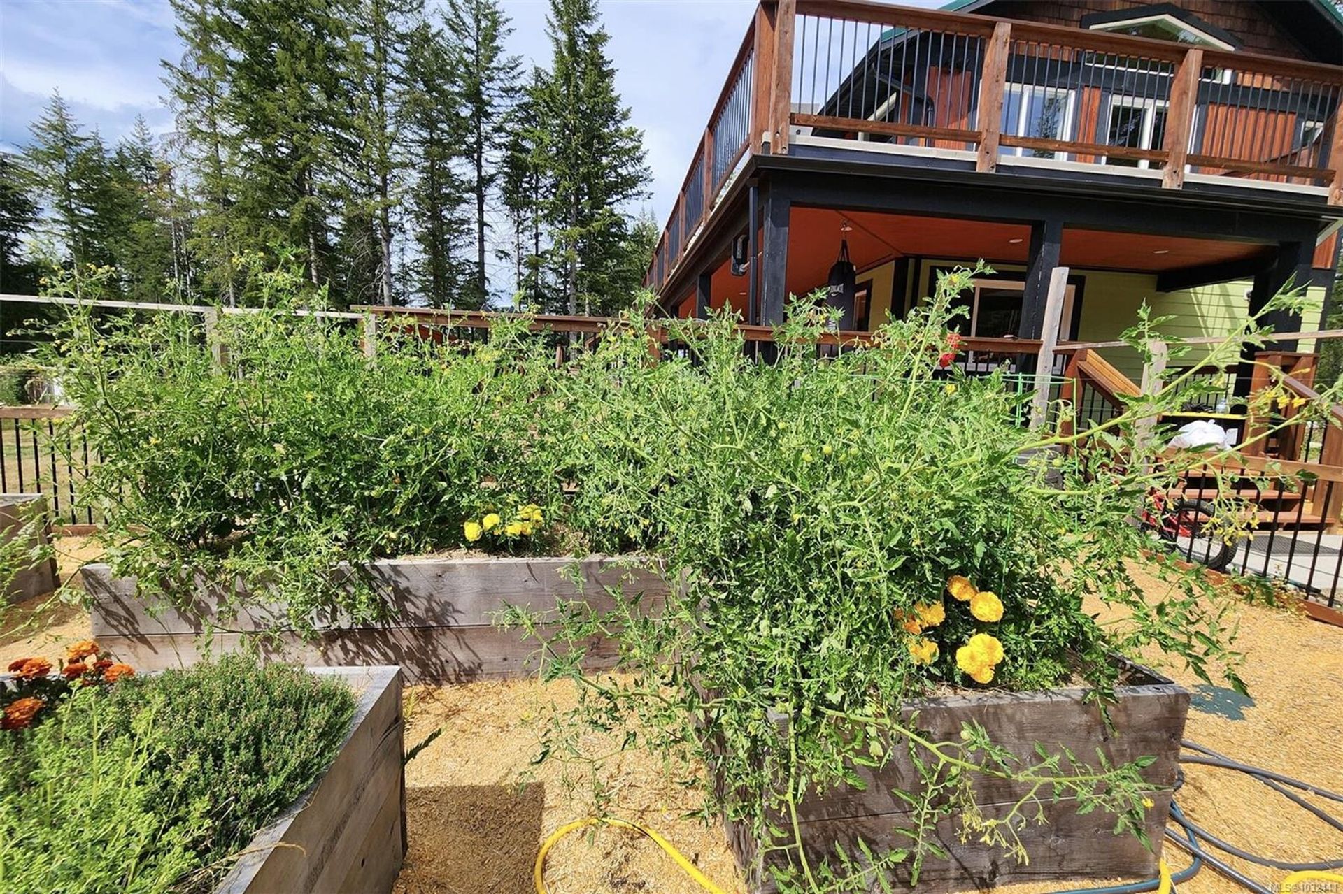 2030-spike-merville-black-creek-comox-valley-16 at 2030 Spike Road, Merville Black Creek, Comox Valley