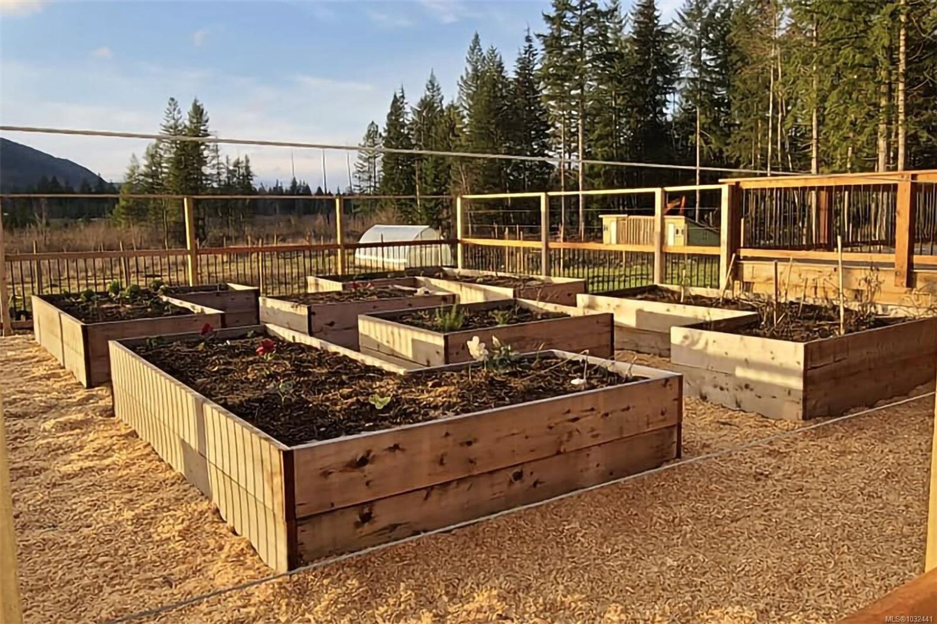 2030-spike-merville-black-creek-comox-valley-17 at 2030 Spike Road, Merville Black Creek, Comox Valley