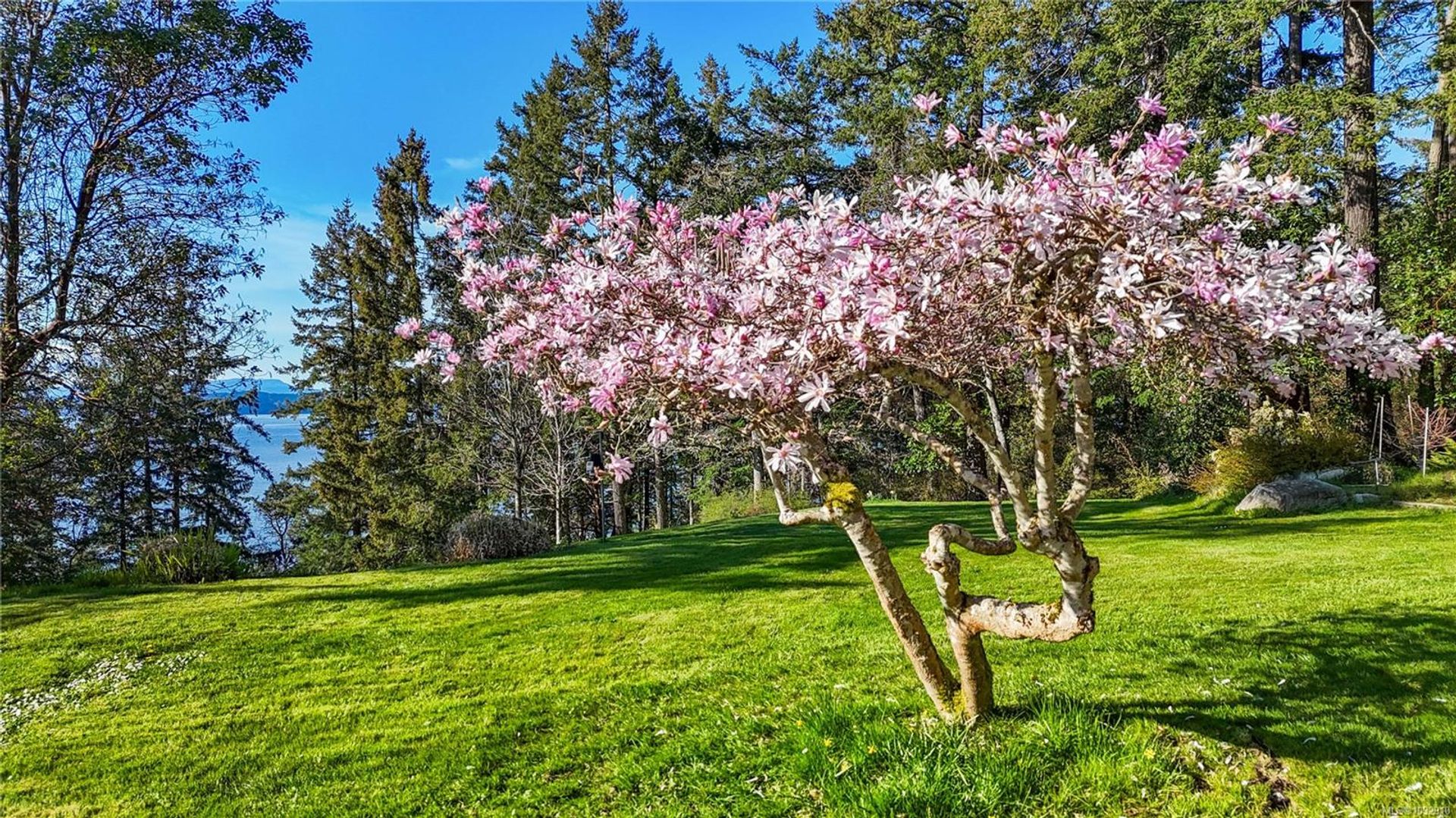 8440-lawrence-inlet-central-saanich-47 at 8440 Lawrence Road, Inlet, Central Saanich