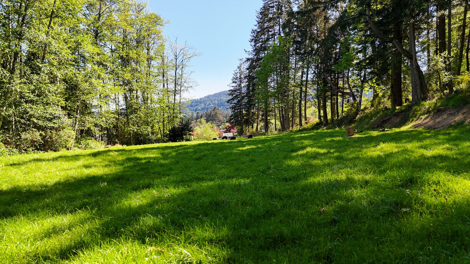  at 151 Upper Ganges Road, Salt Spring, Gulf Islands