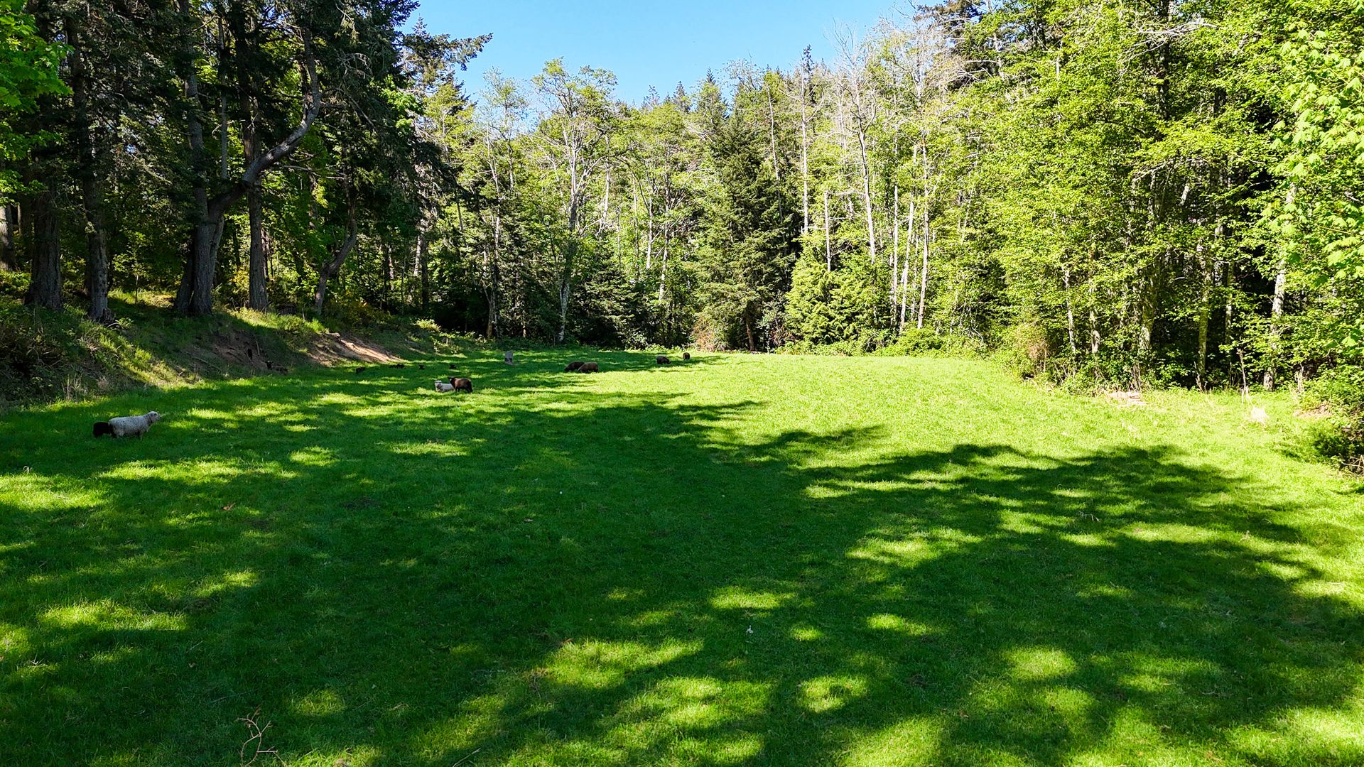  at 151 Upper Ganges Road, Salt Spring, Gulf Islands