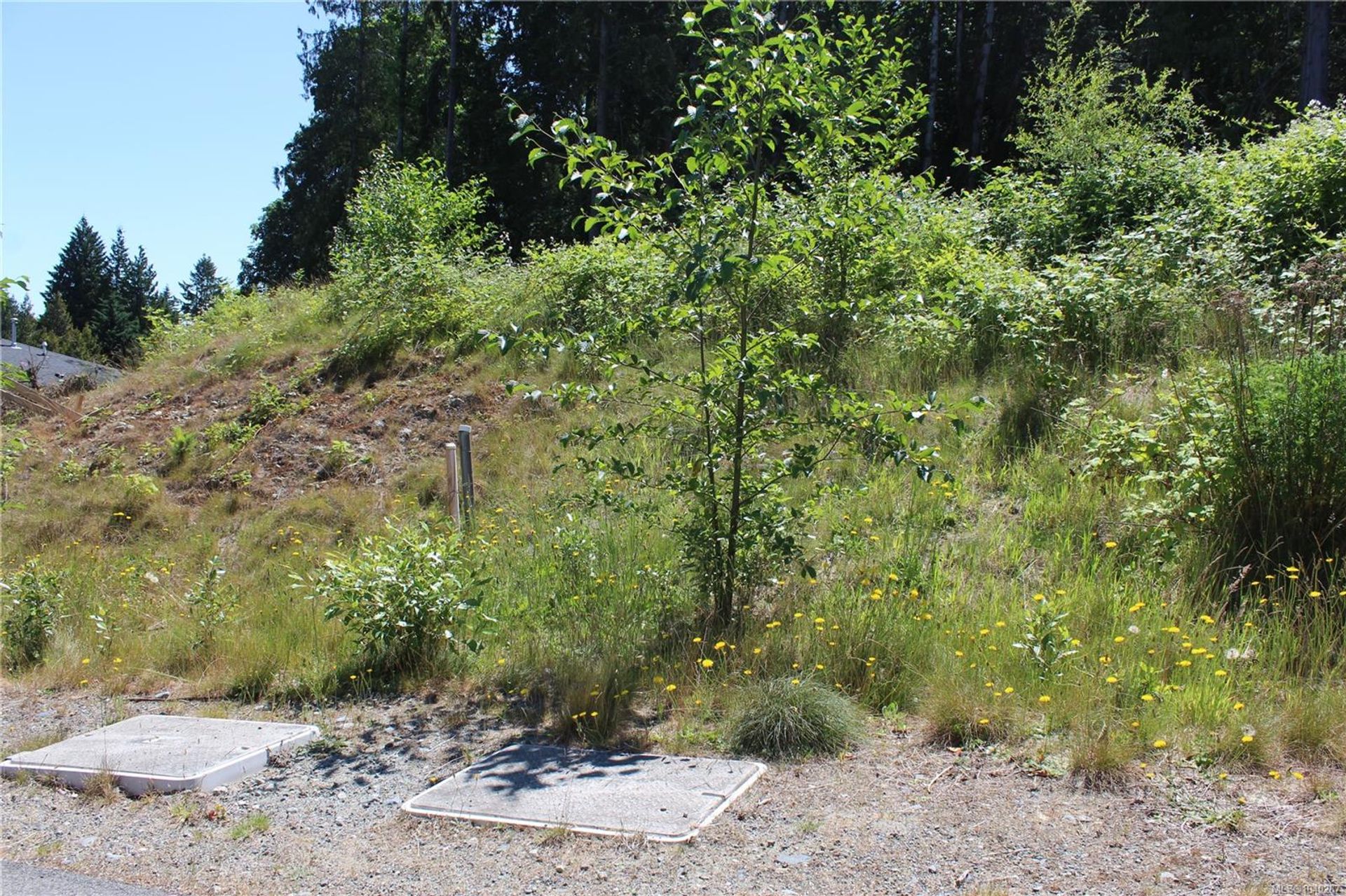 128-rollie-rose-ladysmith-duncan-11 at 128 Rollie Rose Drive, Ladysmith, Duncan