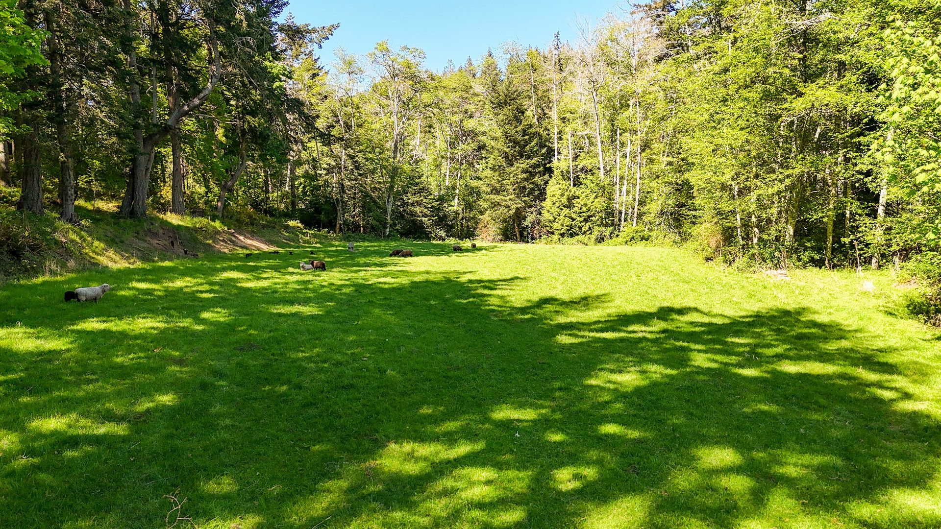  at 265 Lower Ganges Road, Salt Spring, Gulf Islands