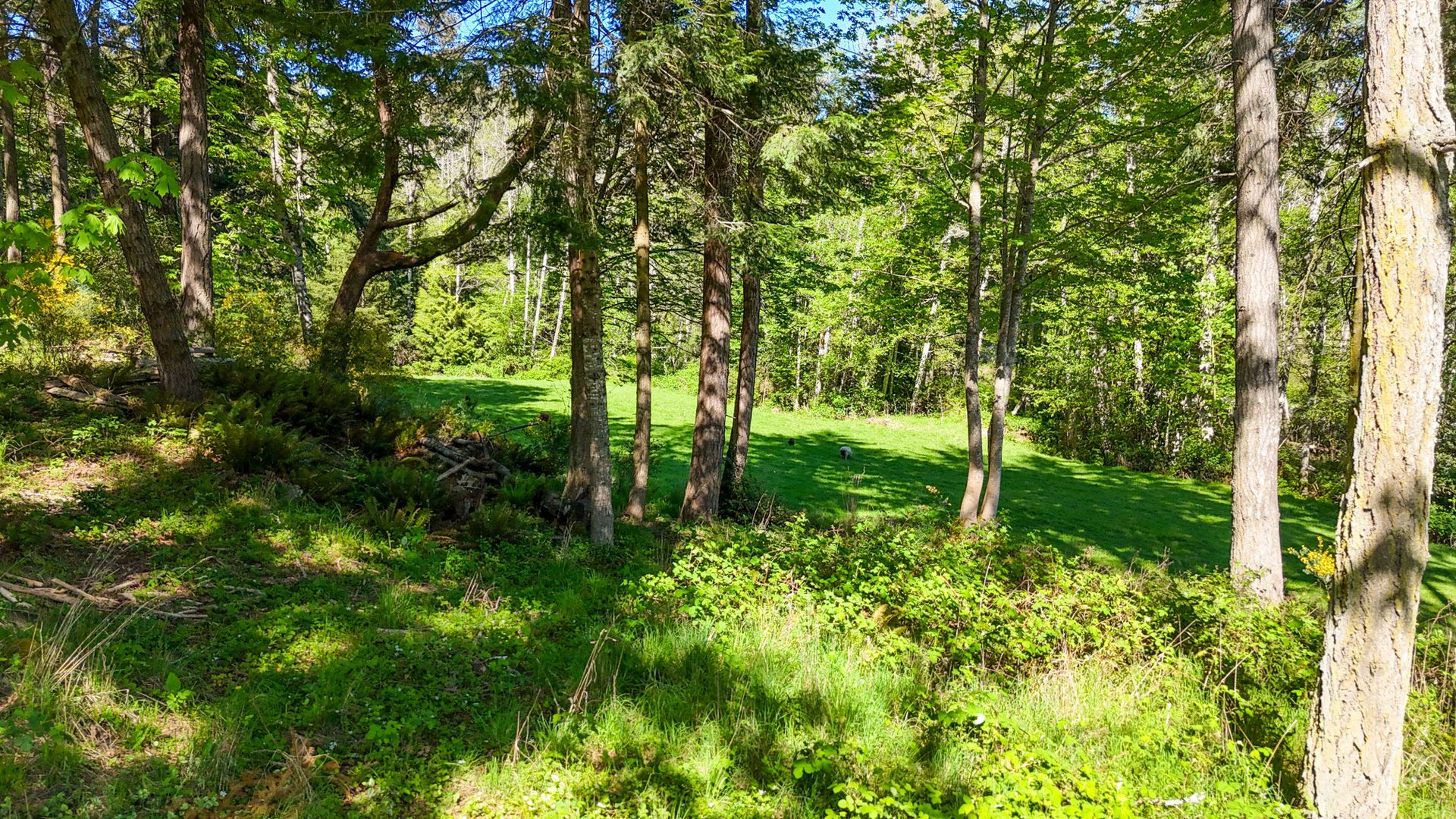  at 265 Lower Ganges Road, Salt Spring, Gulf Islands