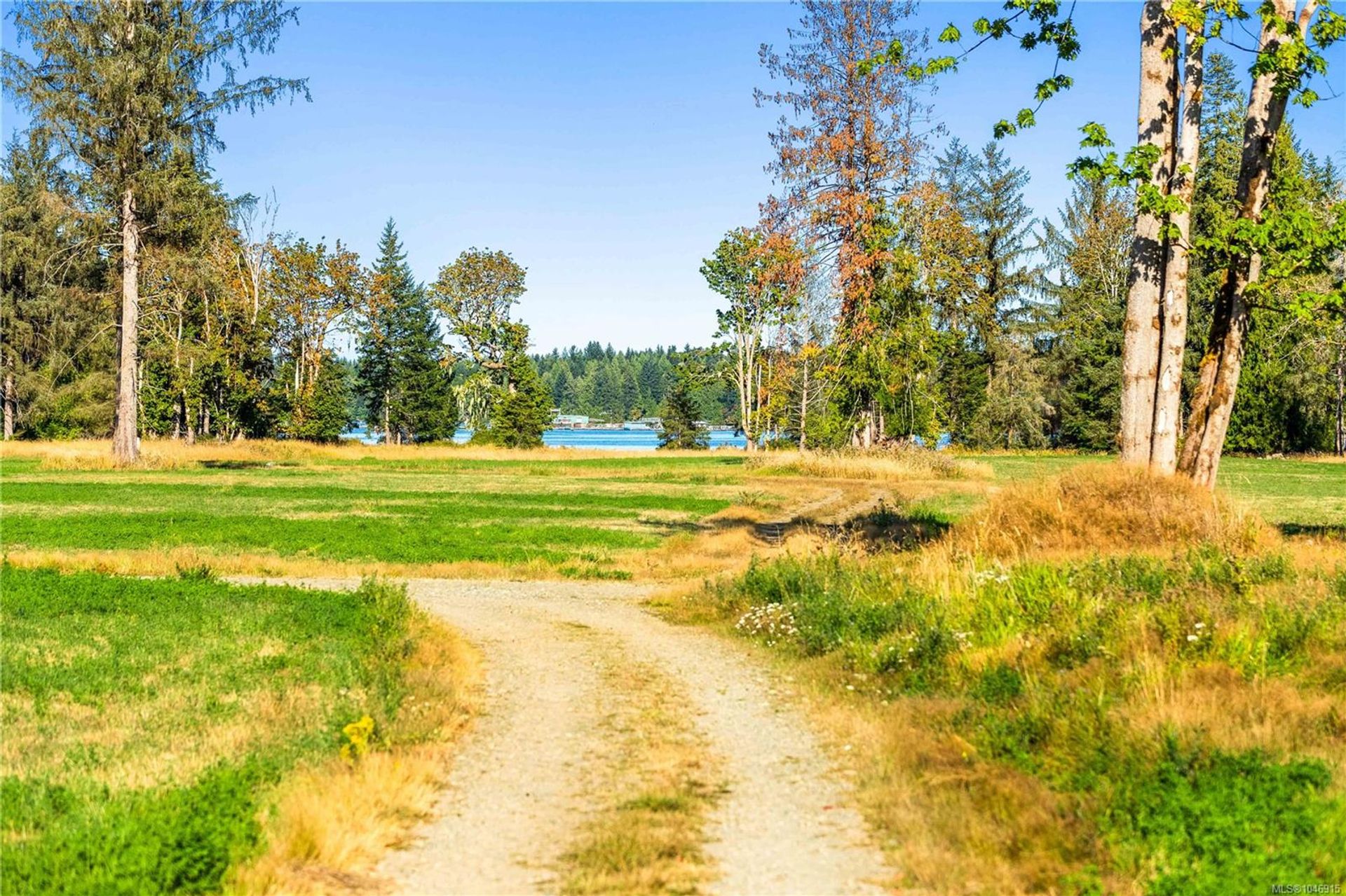 lot-1-wavell-union-bayfanny-bay-comox-valley-27 at Lot 1 Wavell Road, Union Bay/Fanny Bay, Comox Valley