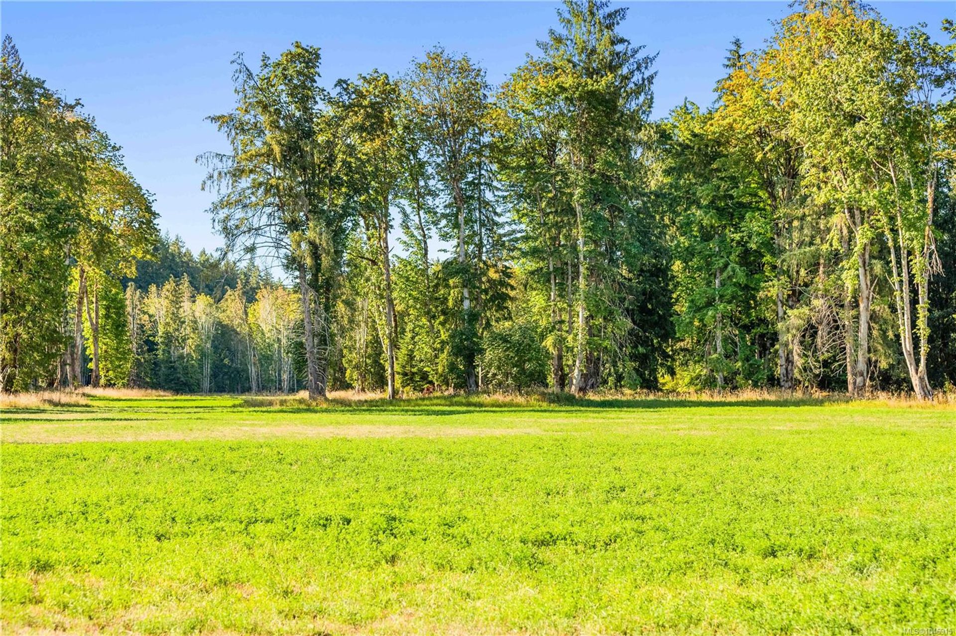 lot-1-wavell-union-bayfanny-bay-comox-valley-28 at Lot 1 Wavell Road, Union Bay/Fanny Bay, Comox Valley