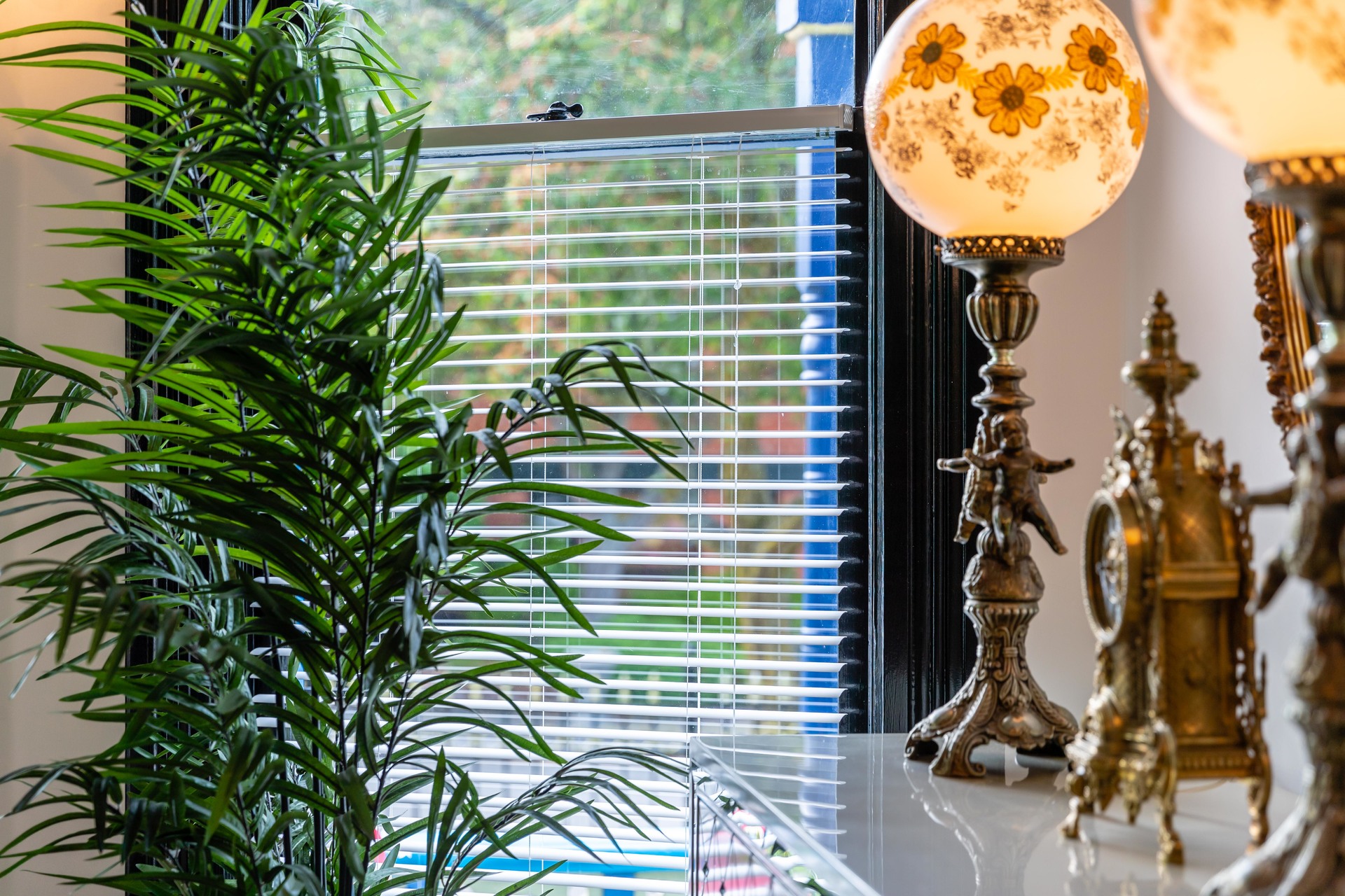  at 255 Government Street, Victoria Bc