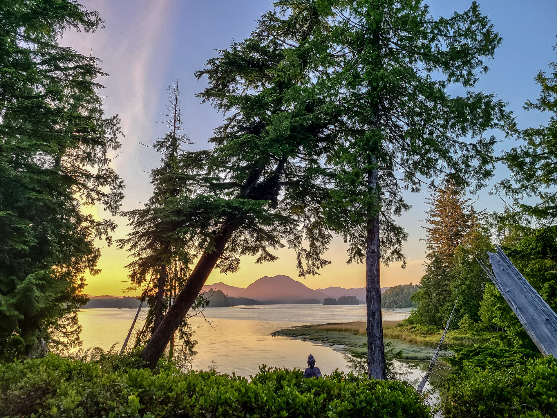 at 978 Jensens Bay Road, Tofino, Port Alberni and West Coast at 978 Jensens Bay Road, Tofino, Port Alberni and West Coast