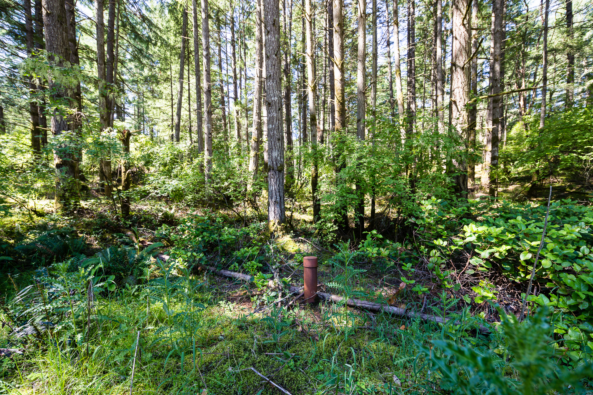 Well drilled at Lot 5 Willis Point Road, Willis Point, Central Saanich