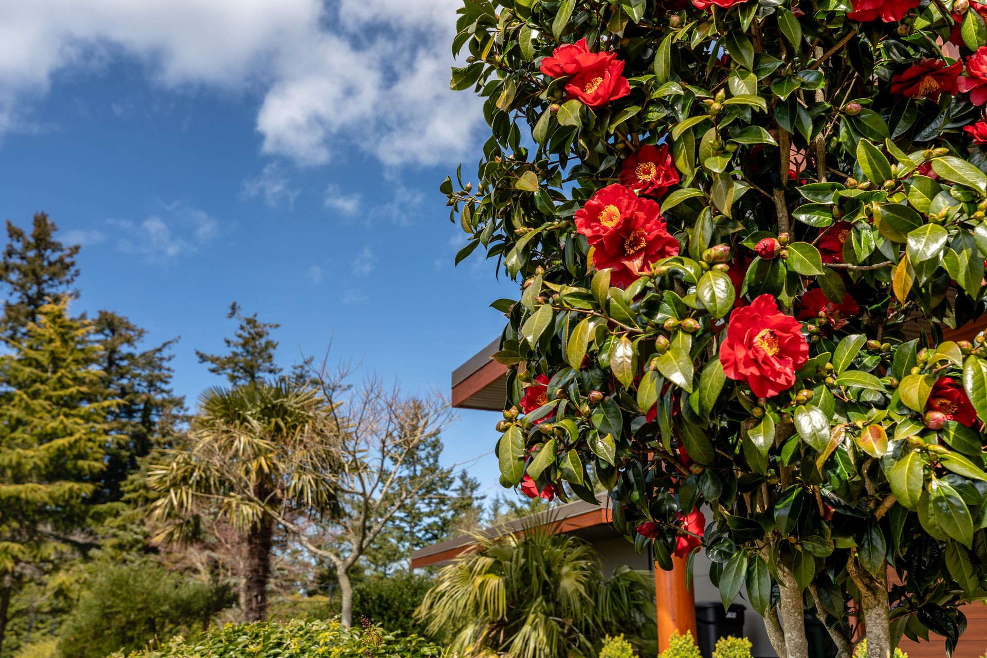  at 3275 Campion Road, Central Saanich Bc