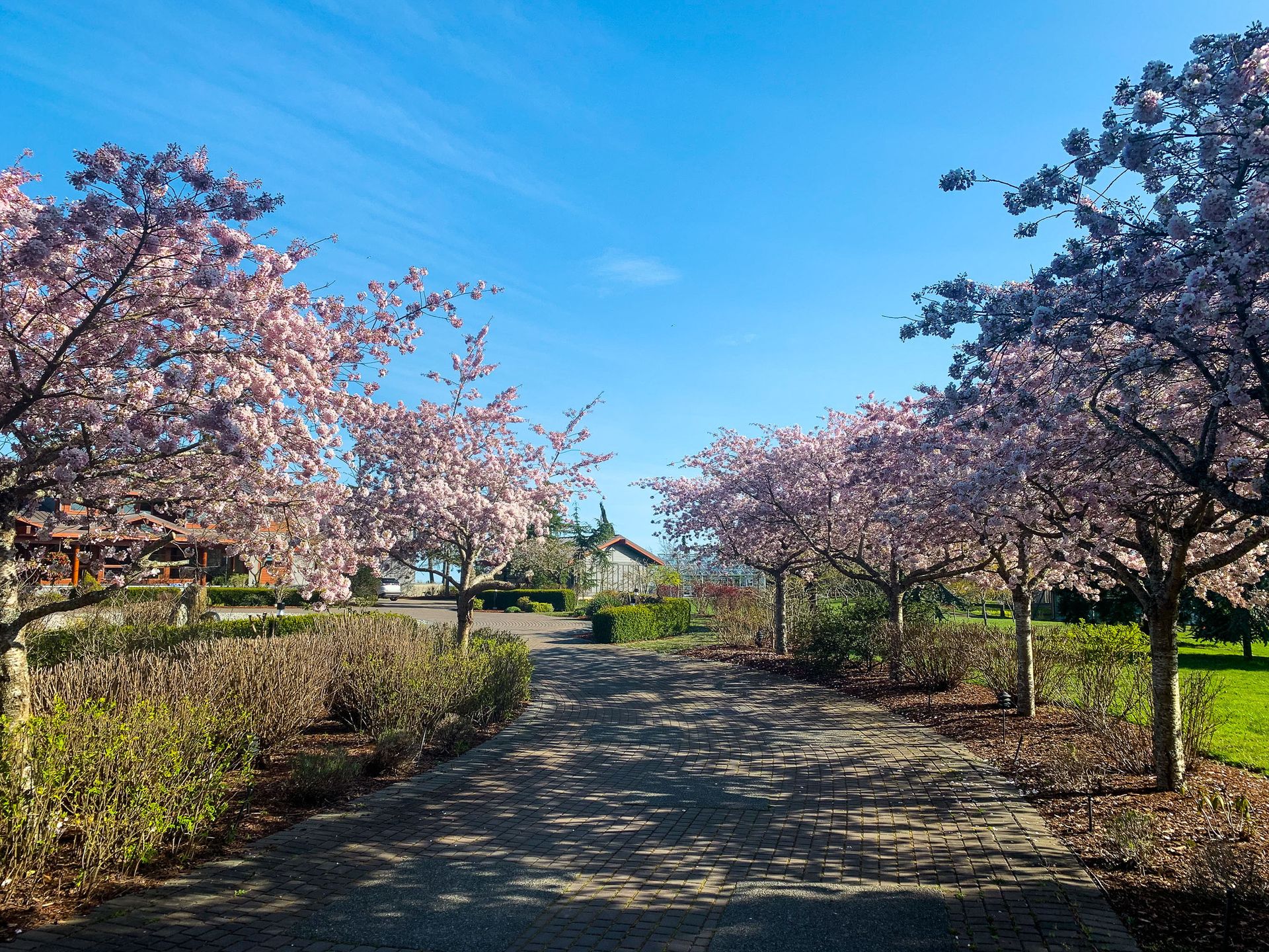  at 3275 Campion Road, Central Saanich Bc