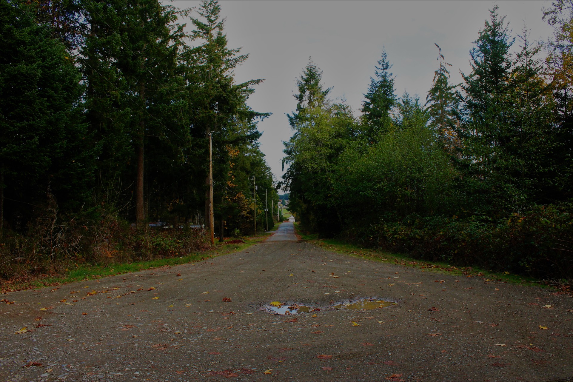 at 2123 Hector Road, Comox (Town of), Comox Valley at 2123 Hector Road, Comox (Town of), Comox Valley