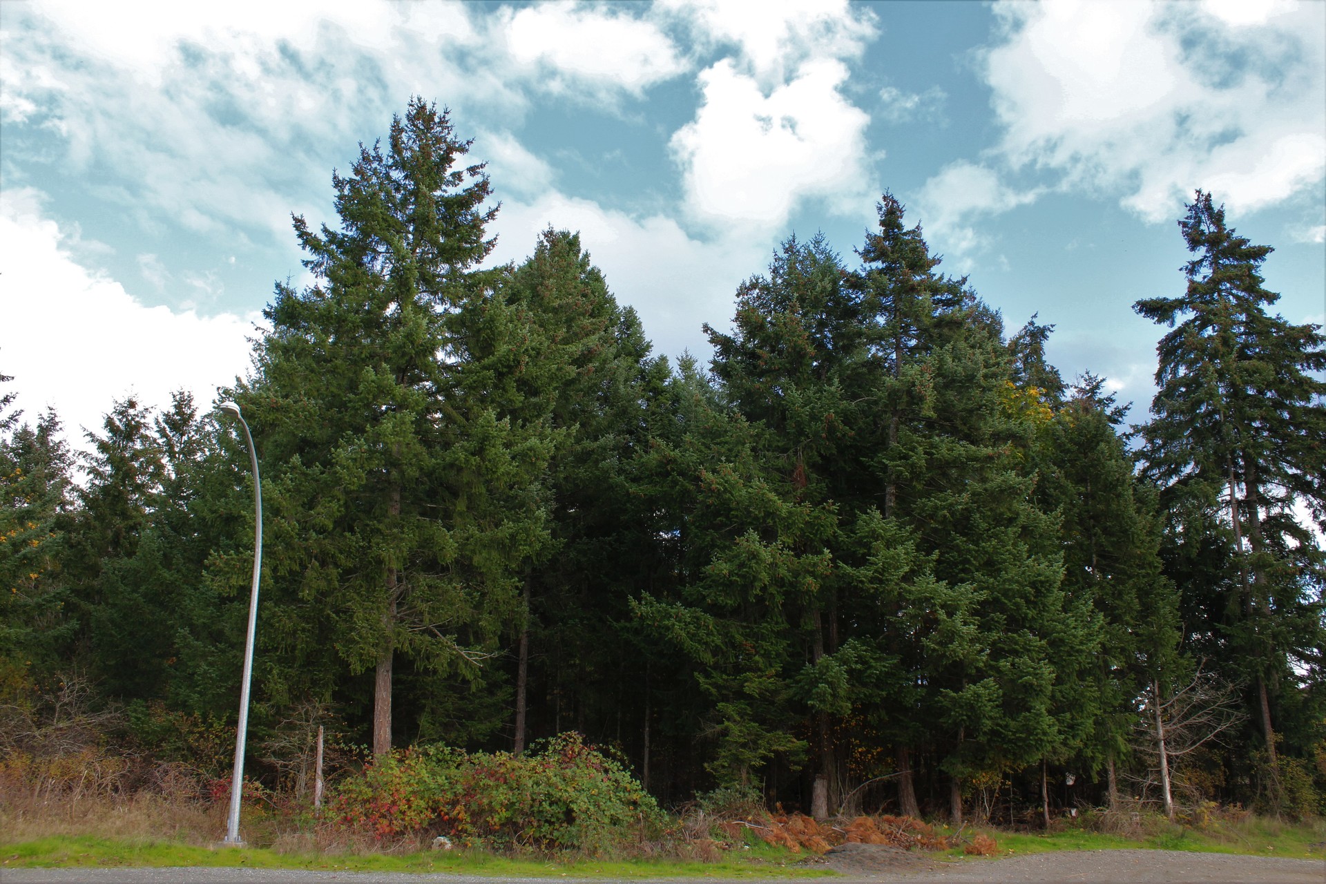 at 2123 Hector Road, Comox (Town of), Comox Valley at 2123 Hector Road, Comox (Town of), Comox Valley