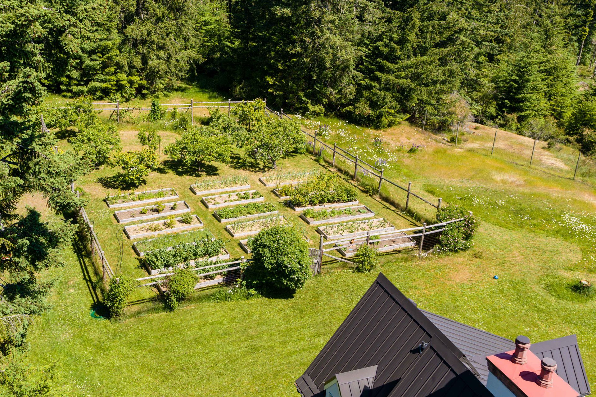 Mature planting at 377 Seymour Heights, Salt Spring, Gulf Islands