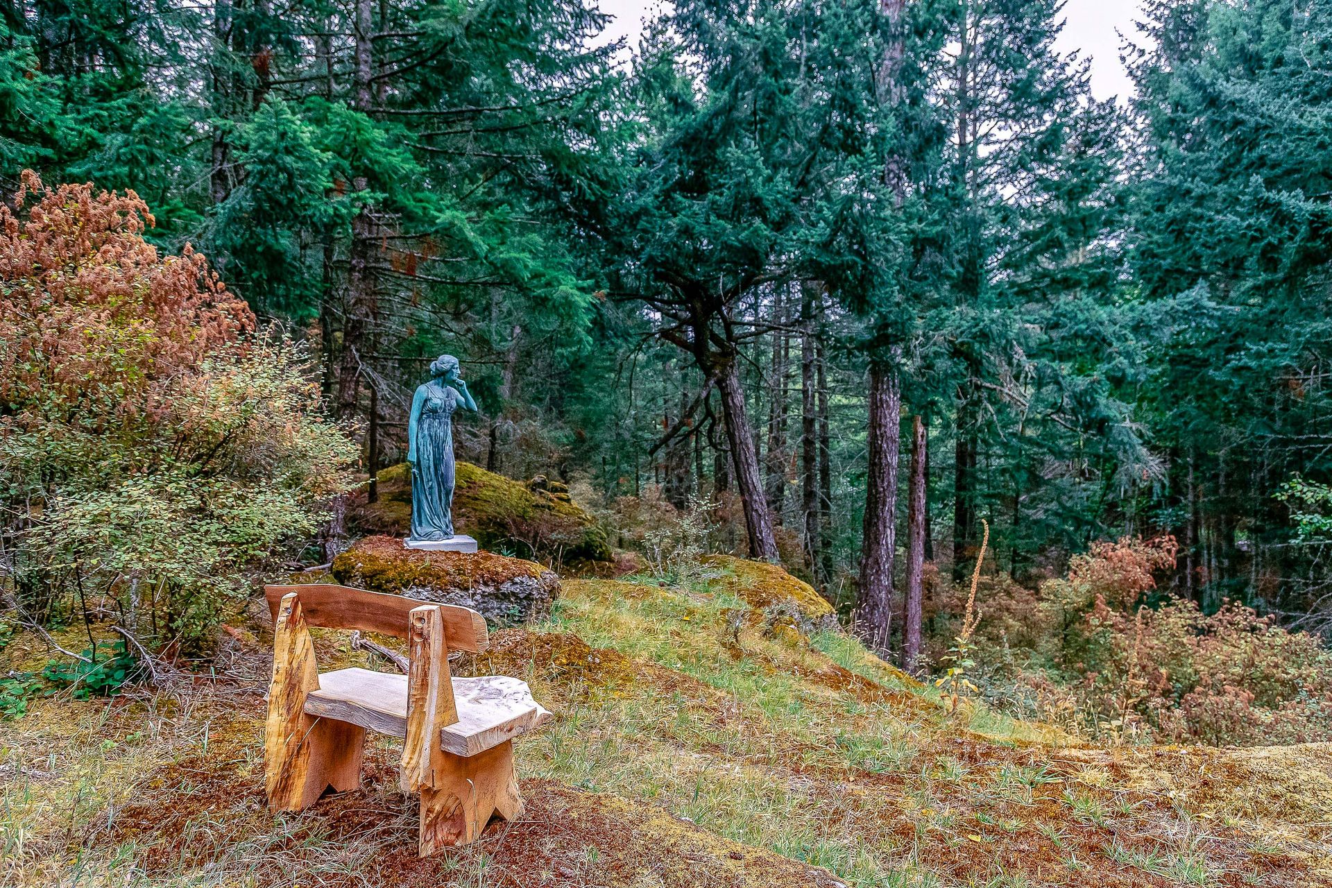 Athena overlooking the forest paths at 377 Seymour Heights, Salt Spring, Gulf Islands