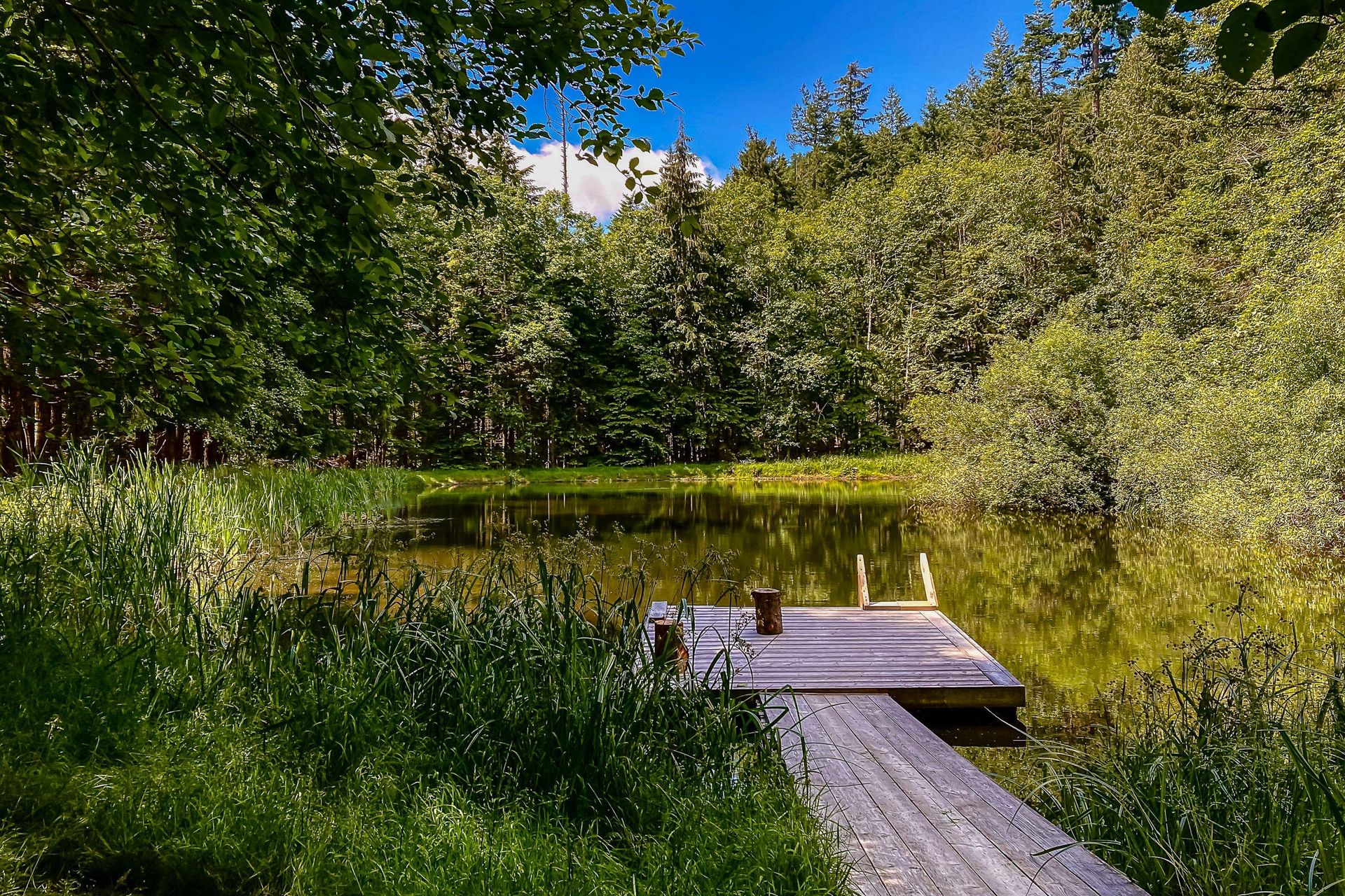 Multiple ponds at 377 Seymour Heights, Salt Spring, Gulf Islands