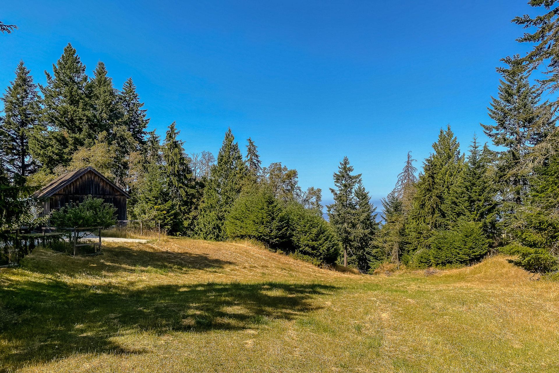 Meadow east of the barn at 377 Seymour Heights, Salt Spring, Gulf Islands