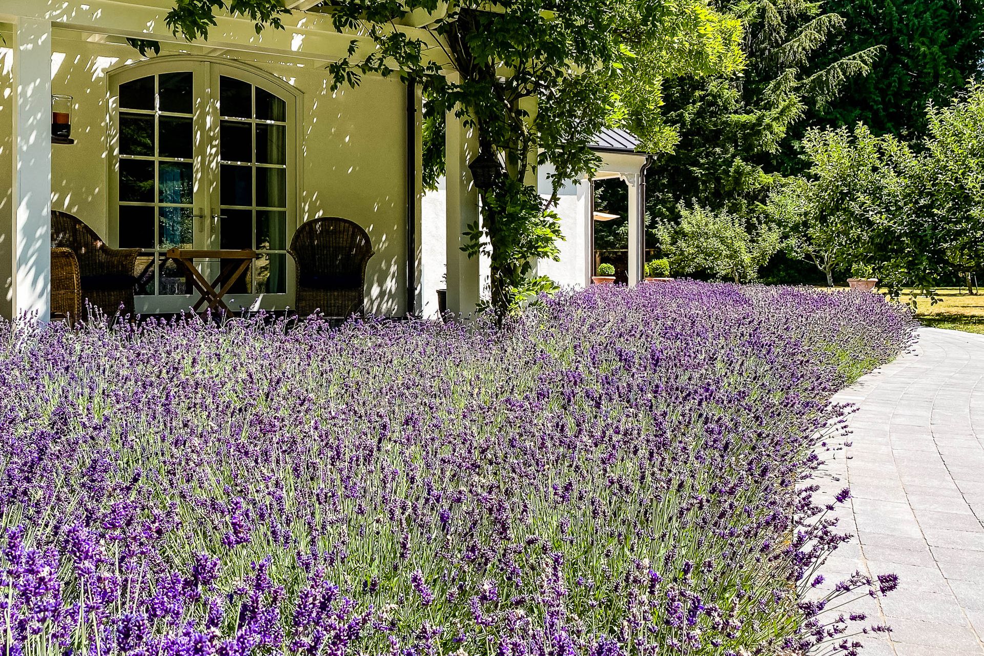 Breathe in the lavender from the front porch at 377 Seymour Heights, Salt Spring, Gulf Islands