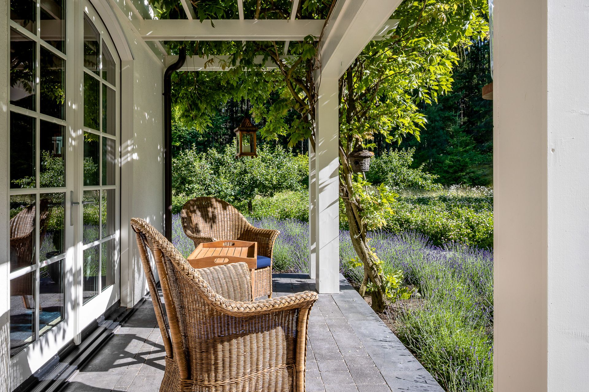 Beautiful Wisteria on the front porch at 377 Seymour Heights, Salt Spring, Gulf Islands