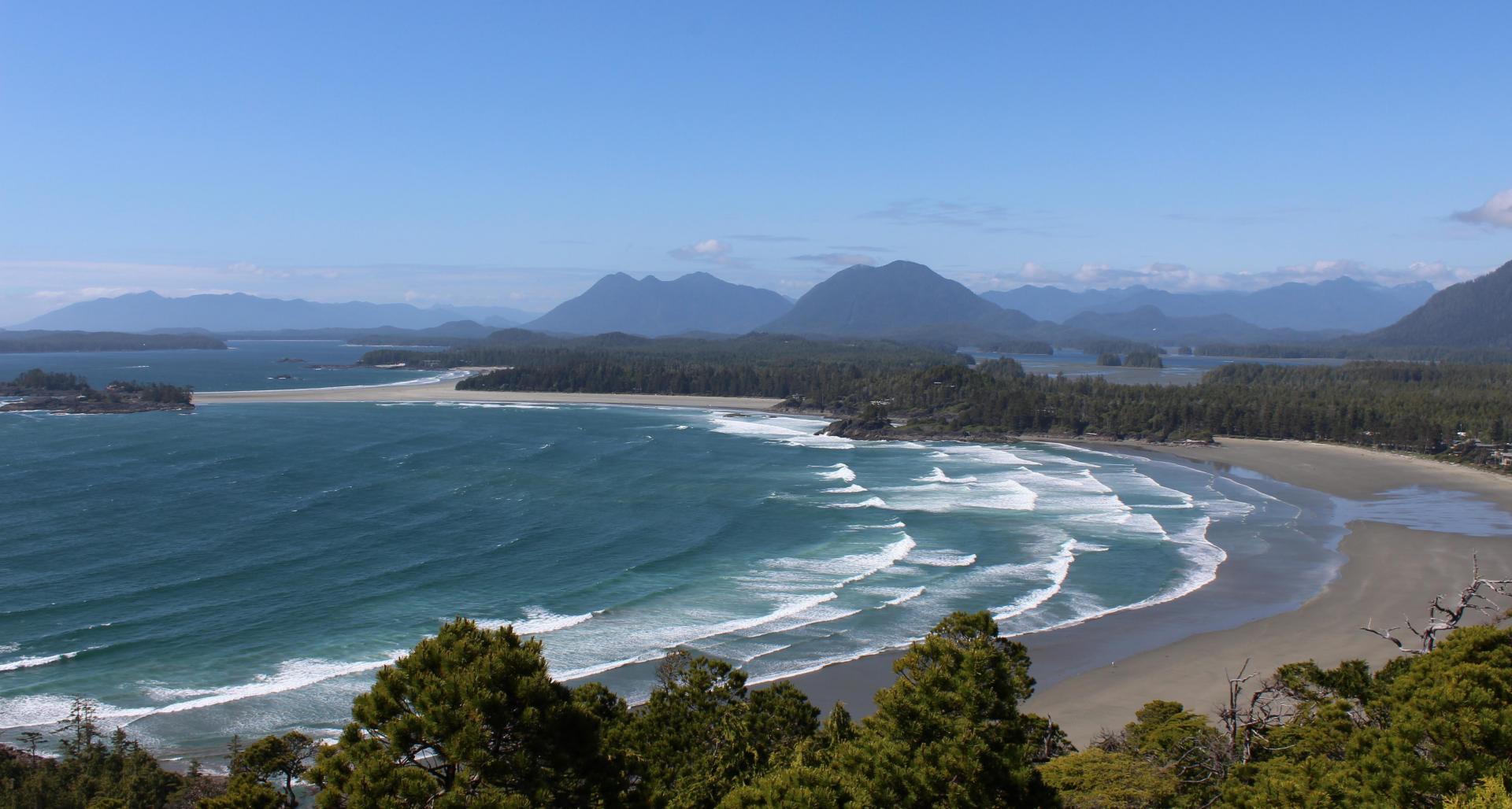Tofino 2 Tofino 2