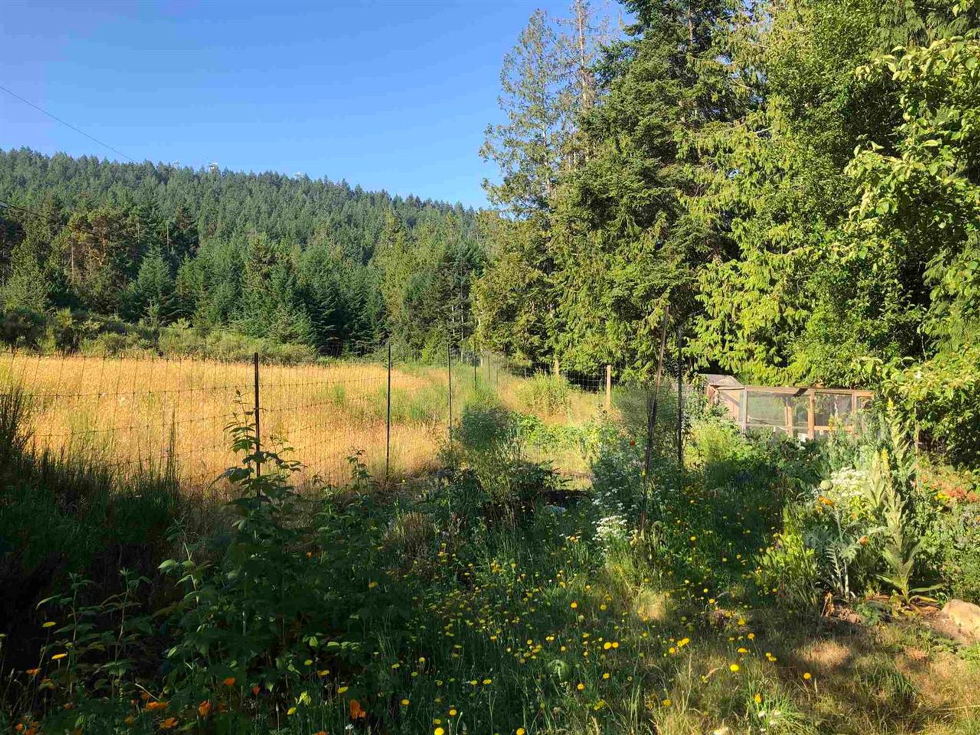 473 - Felix Jack Road  by Mackenzie Olson Personal Real Estate Corporation 473 - Felix Jack Road