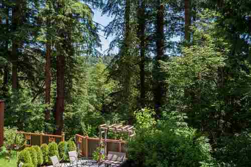 262402378-2 at 2848 Wembley Drive, Westlynn Terrace, North Vancouver 262402378-2 at 2848 Wembley Drive, Westlynn Terrace, North Vancouver